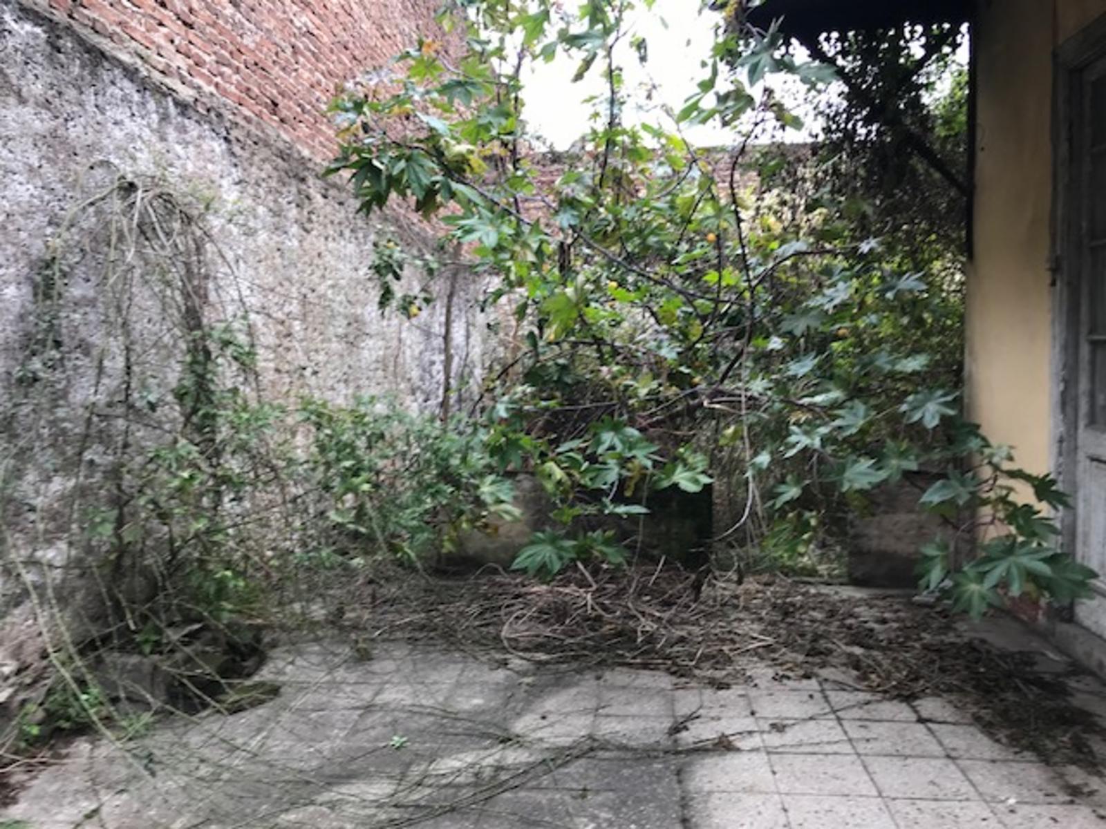 Guiffra al 1500- LOTE — foto 7
