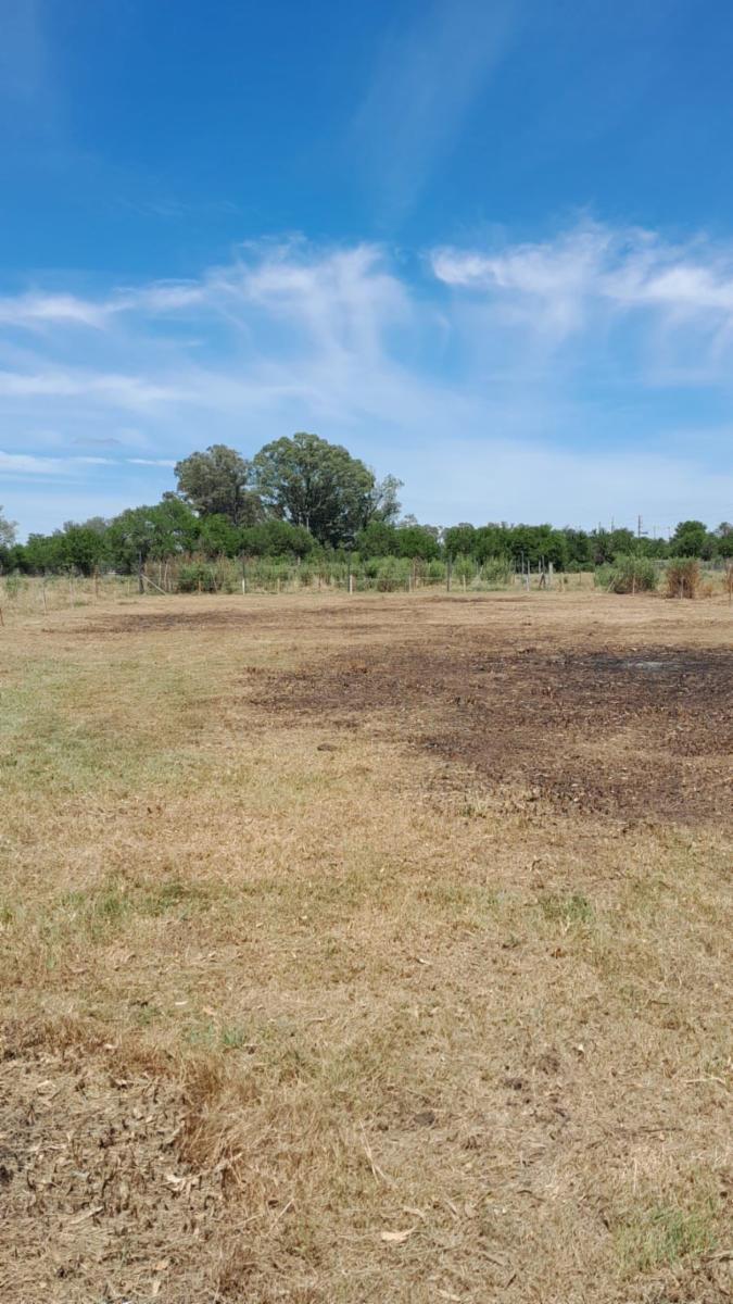 Terreno en General Rodriguez - 4