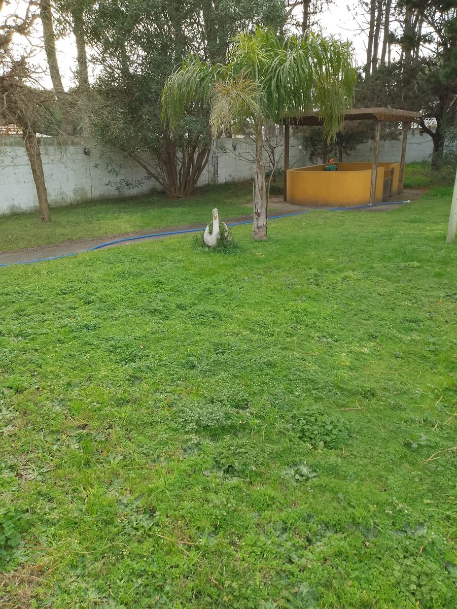 Casa de Tres Ambientes en Venta en Nueva Atlantis - a 4 Cuadras del Mar, Buenos Aires Costa Atlántica - Zonaprop - 12