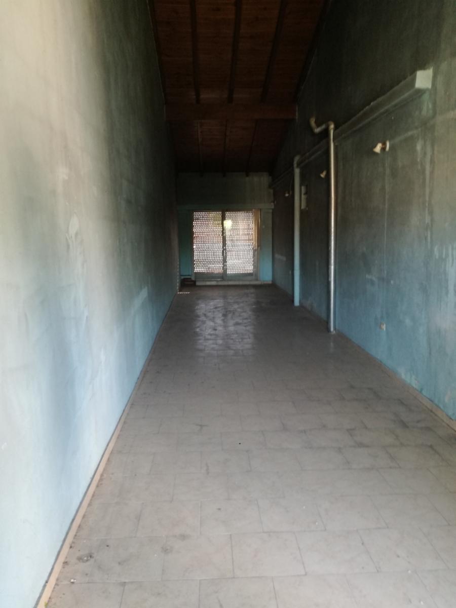 Excelente propiedad multifuncional, posee 2 locales y casa 1er piso 4 amb, garage, pileta y jardín. — foto 15