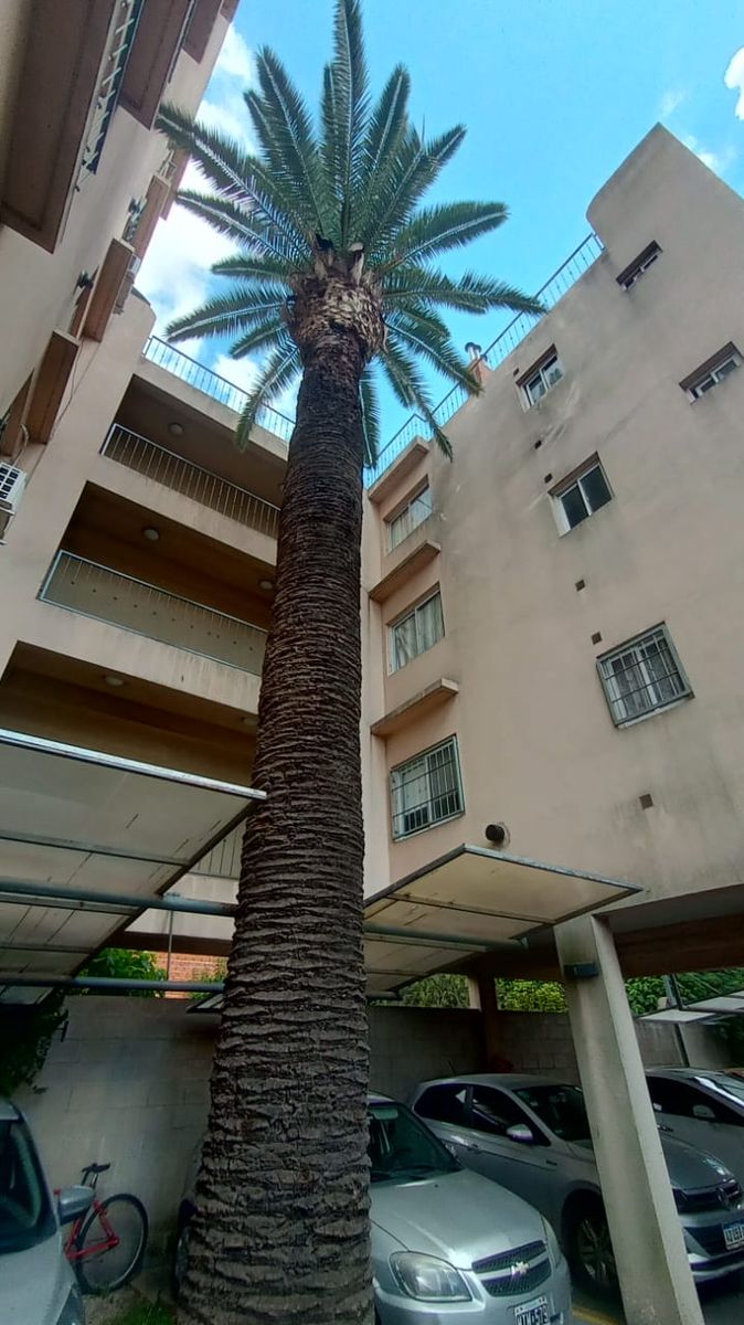 Luminoso Departamento de 2 Ambientes con Cochera y Baulera en El Palomar — foto 4