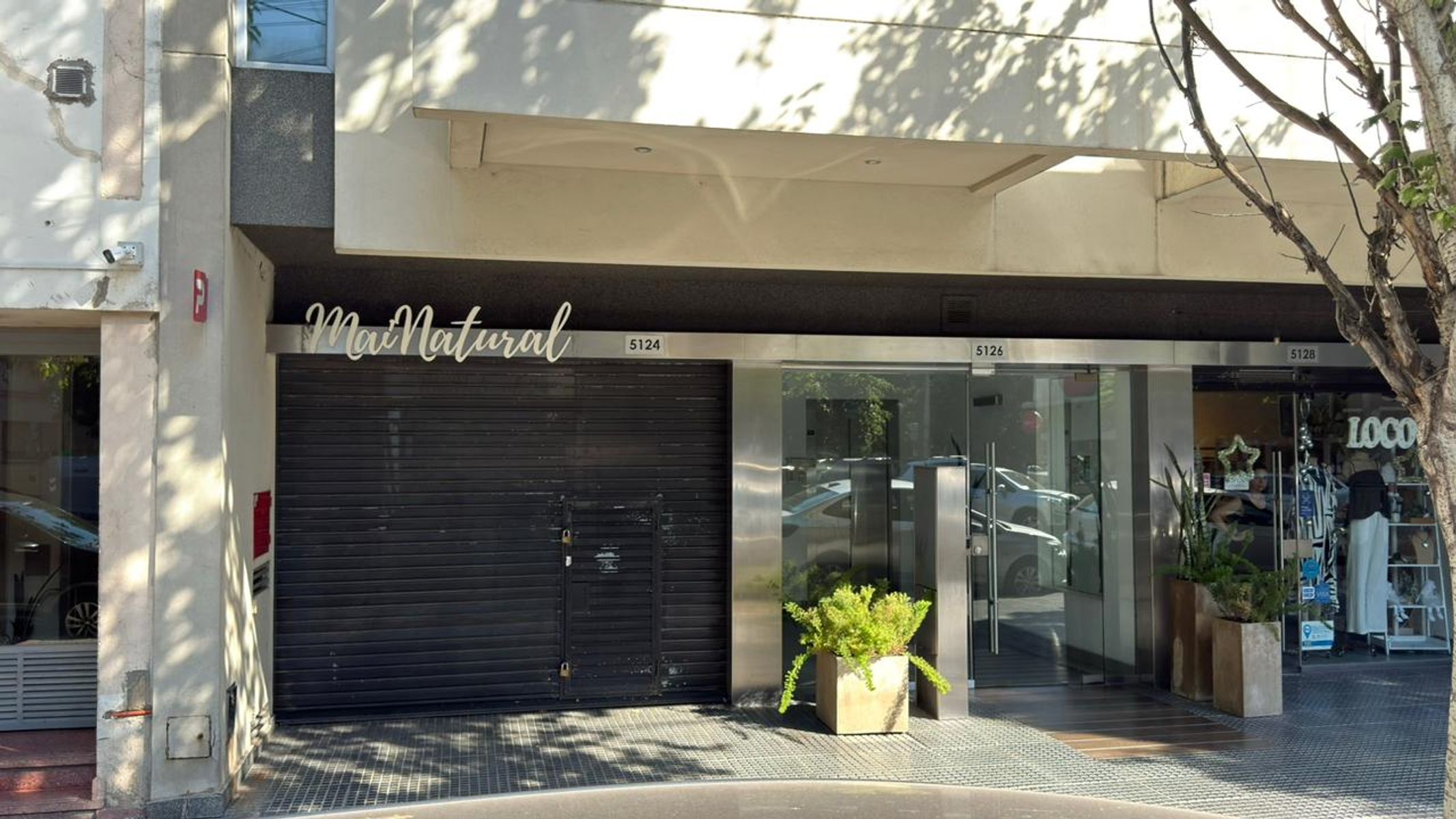 LOCAL EN ALQUILER CON PATIO - 2