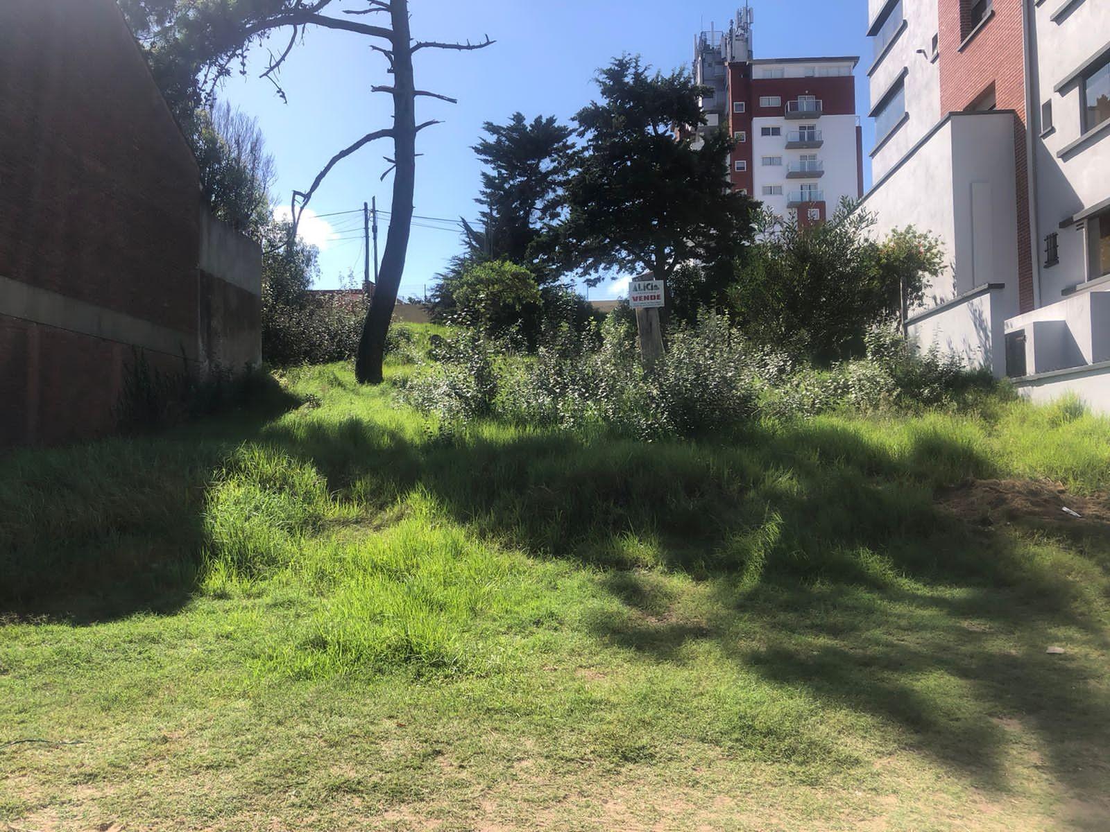 LOTE CON SALIDA A DOS CALLES, PASEO 124 Y PASEO 123 BIS ENTRE PASEOS 1 Y 2 FRENTE DE 16 X 30 DE FONDO SUPERFICIE TOTAL 480 MT2 — foto 3