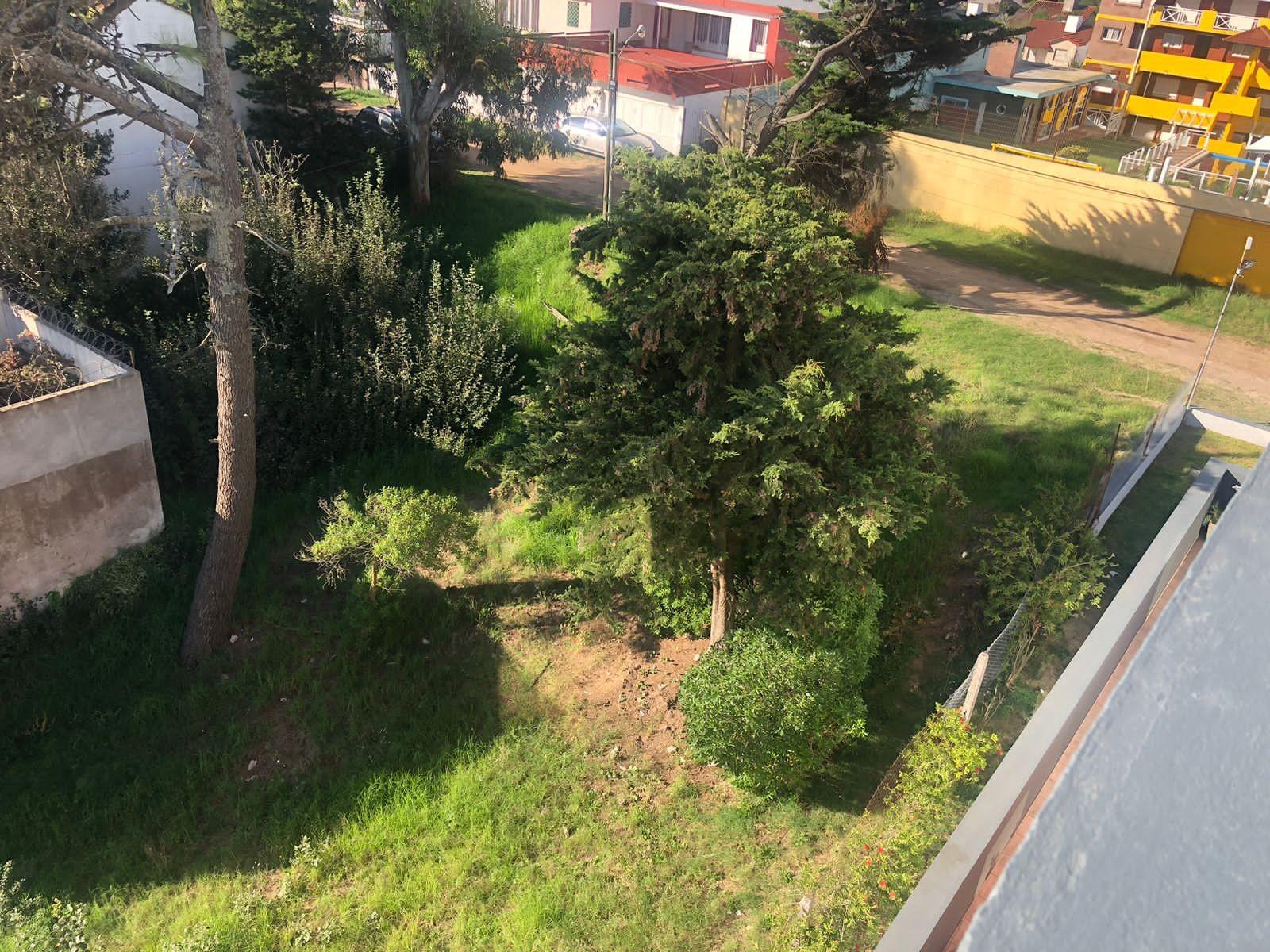 LOTE CON SALIDA A DOS CALLES, PASEO 124 Y PASEO 123 BIS ENTRE PASEOS 1 Y 2 FRENTE DE 16 X 30 DE FONDO SUPERFICIE TOTAL 480 MT2 — foto 4