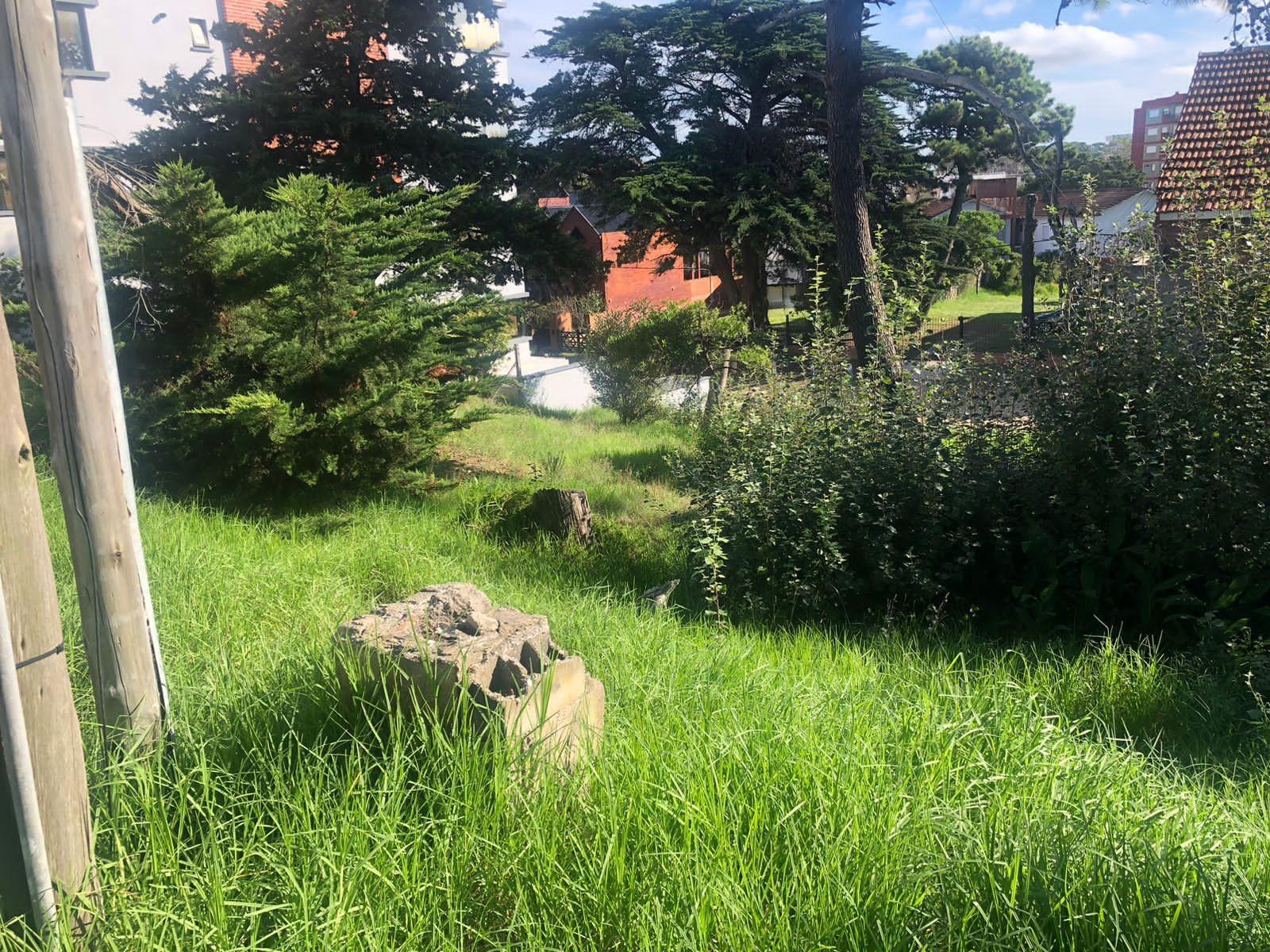 LOTE CON SALIDA A DOS CALLES, PASEO 124 Y PASEO 123 BIS ENTRE PASEOS 1 Y 2 FRENTE DE 16 X 30 DE FONDO SUPERFICIE TOTAL 480 MT2 — foto 5