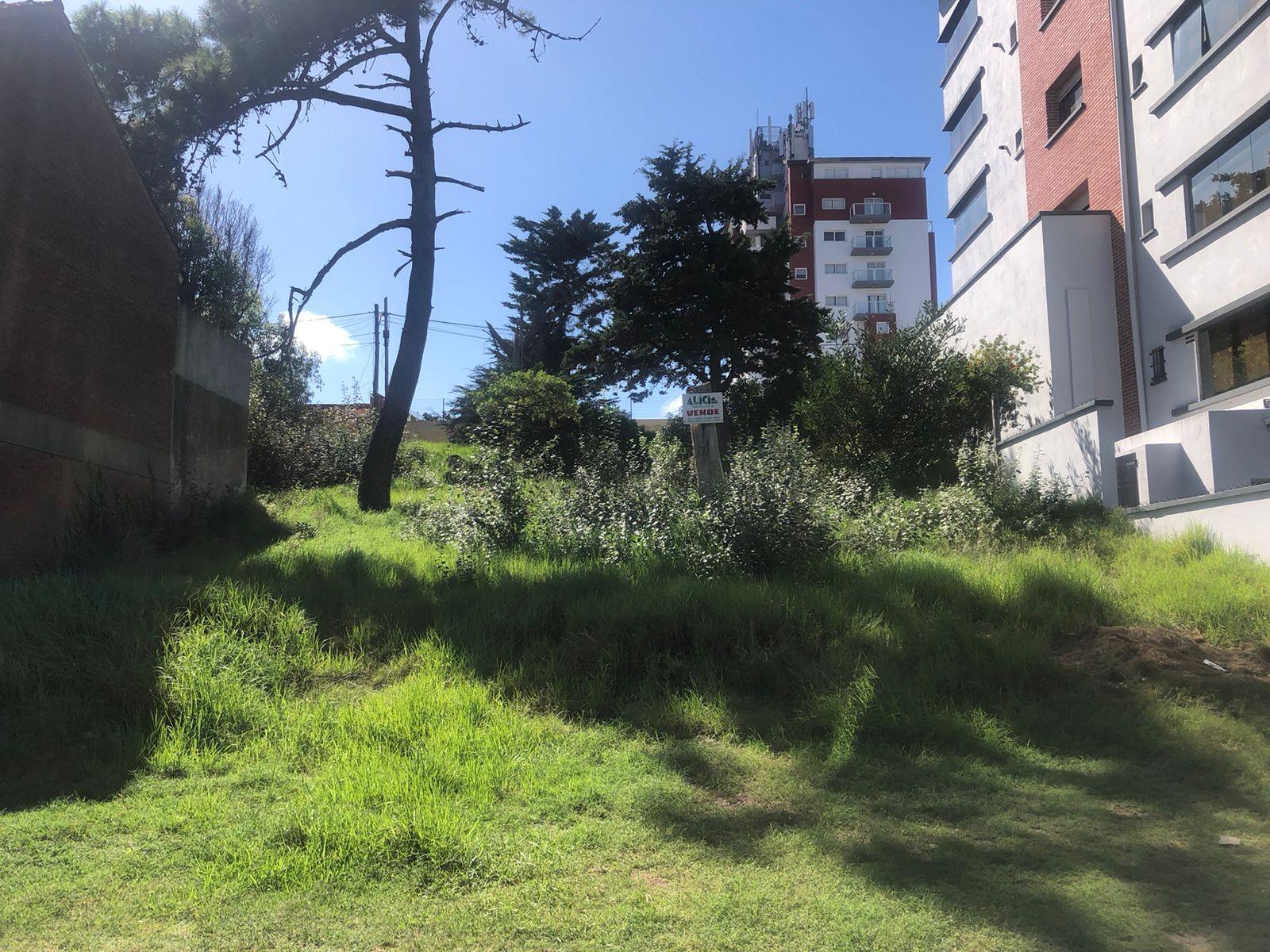 LOTE CON SALIDA A DOS CALLES, PASEO 124 Y PASEO 123 BIS ENTRE PASEOS 1 Y 2 FRENTE DE 16 X 30 DE FONDO SUPERFICIE TOTAL 480 MT2 — foto 6