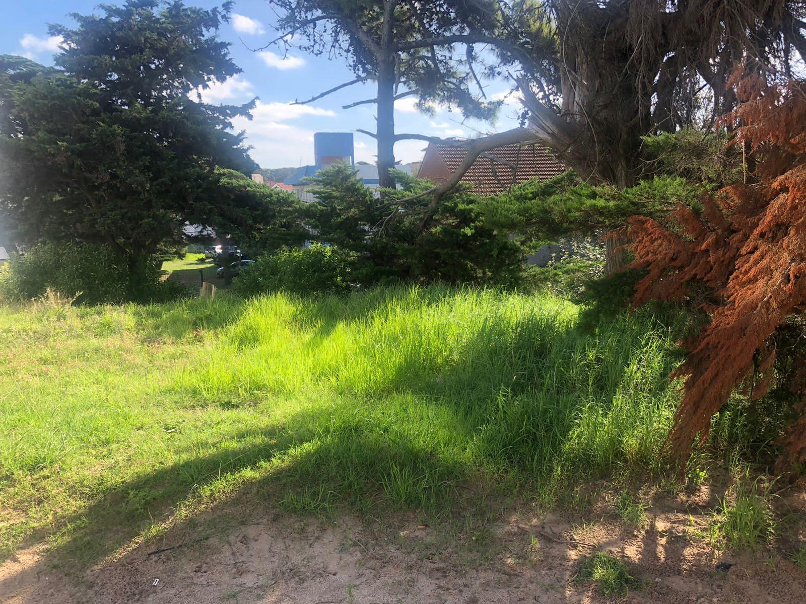 LOTE CON SALIDA A DOS CALLES, PASEO 124 Y PASEO 123 BIS ENTRE PASEOS 1 Y 2 FRENTE DE 16 X 30 DE FONDO SUPERFICIE TOTAL 480 MT2 — foto 8