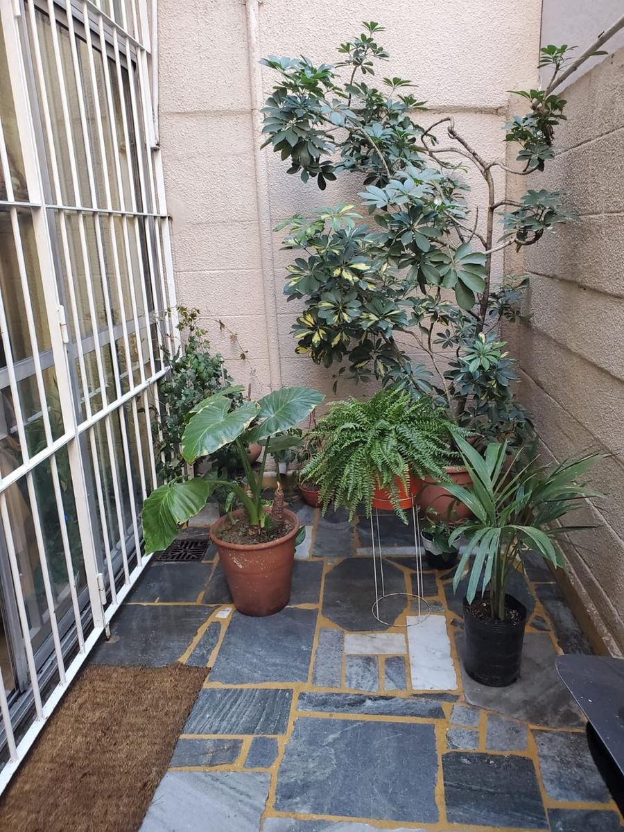CASA LOTE PROPIO , IDEAL 2 FAMILIAS — foto 15