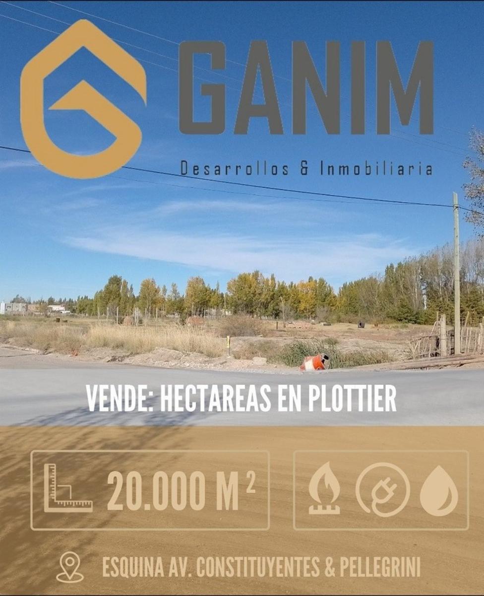 En venta: 2 HECTÁREAS PLOTTIER - EXCELENTE UBICACION - APTAS DESARROLLO