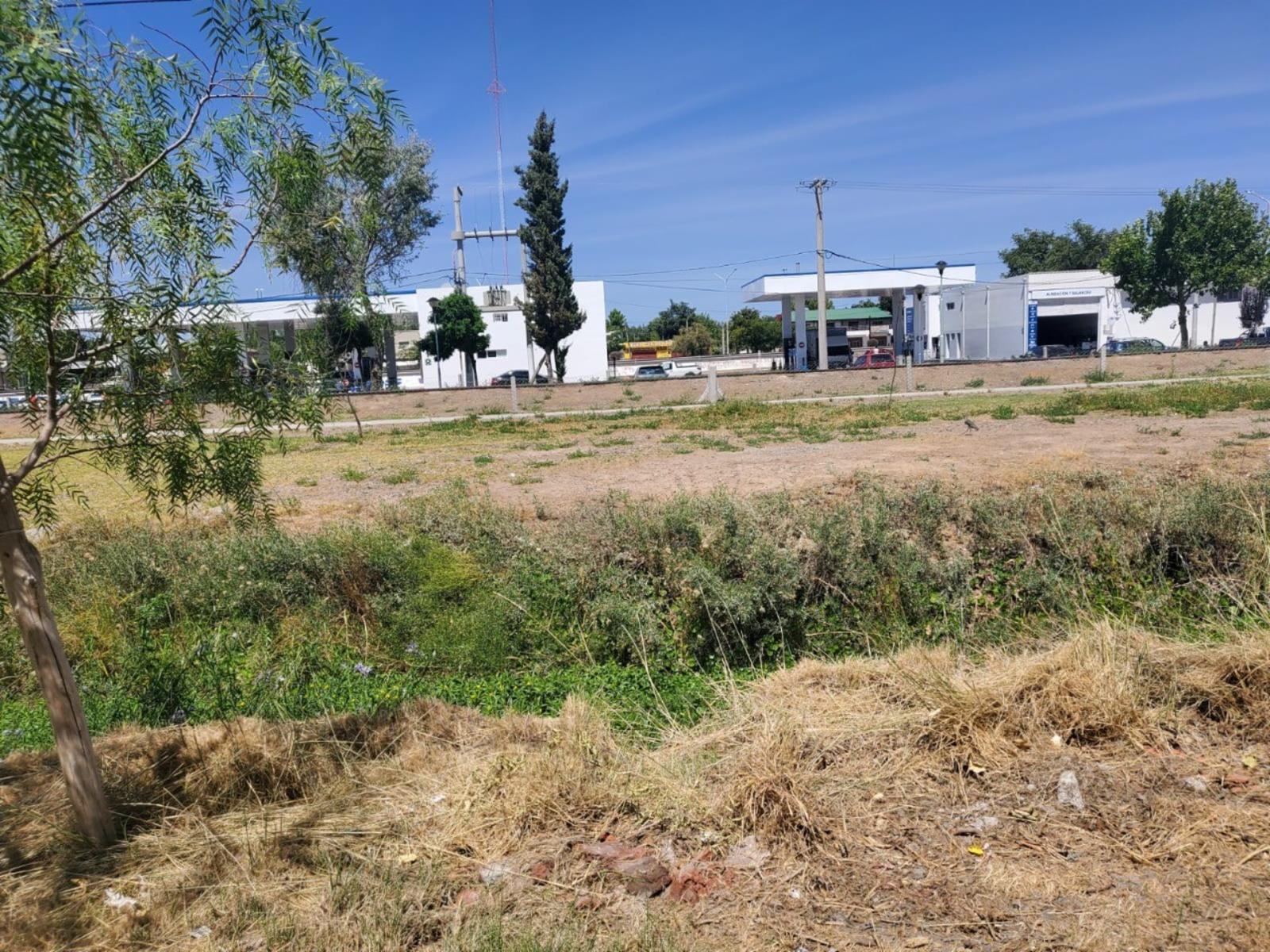 PROPIEDAD A RECICLAR EN EXCELENTE UBICACION - CENTRO PLOTTIER FRENTE A YPF EL TRIANGULO. — foto 3