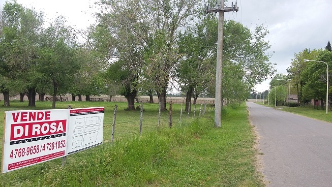 VENTA O ALQUILER CONSULTAR CHACRA A 200 MTS DE RUTA 8 - 90.000 MTS2 - ARRECIFES - MENSURADA Y SUBDIVIDIDA EN 6 MANZANAS. TOTAL 60.000 M2 COMERCIALIZABLES. - 7