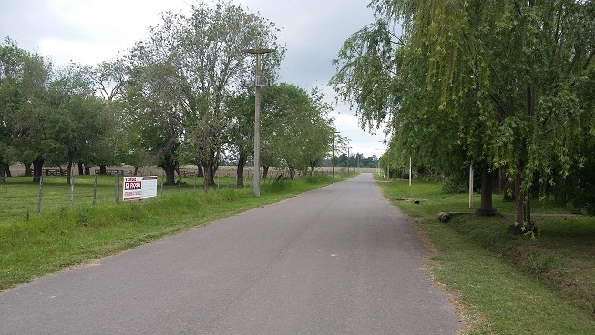 VENTA O ALQUILER CONSULTAR CHACRA A 200 MTS DE RUTA 8 - 90.000 MTS2 - ARRECIFES - MENSURADA Y SUBDIVIDIDA EN 6 MANZANAS. TOTAL 60.000 M2 COMERCIALIZABLES. - 12