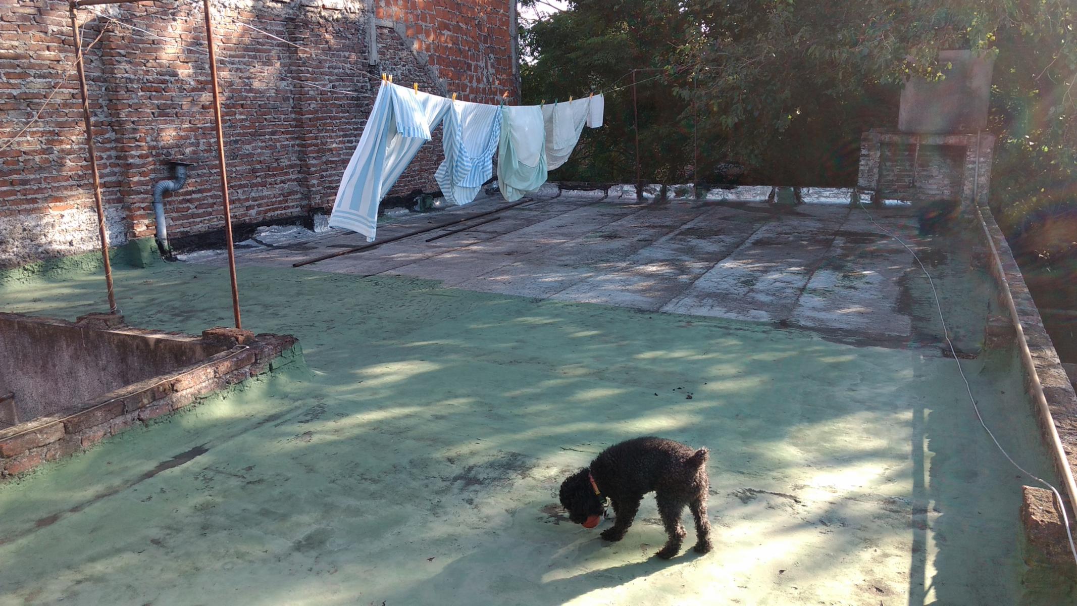 CASA Y LOCAL + COCHERA Y FONDO LIBRE - San Andrés — foto 11