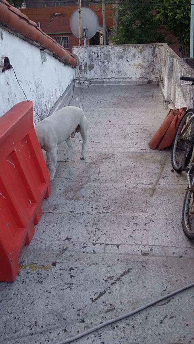 V.Ballester - Excelente Chalet 4 amb. con garage, pxmo Avda Moreno. — foto 3