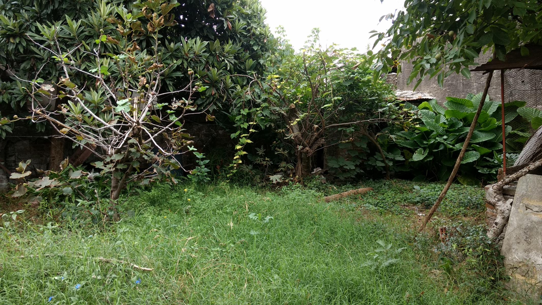 Casa 3 amb a reciclar El Libertador Tres de Febrero Venta — foto 5
