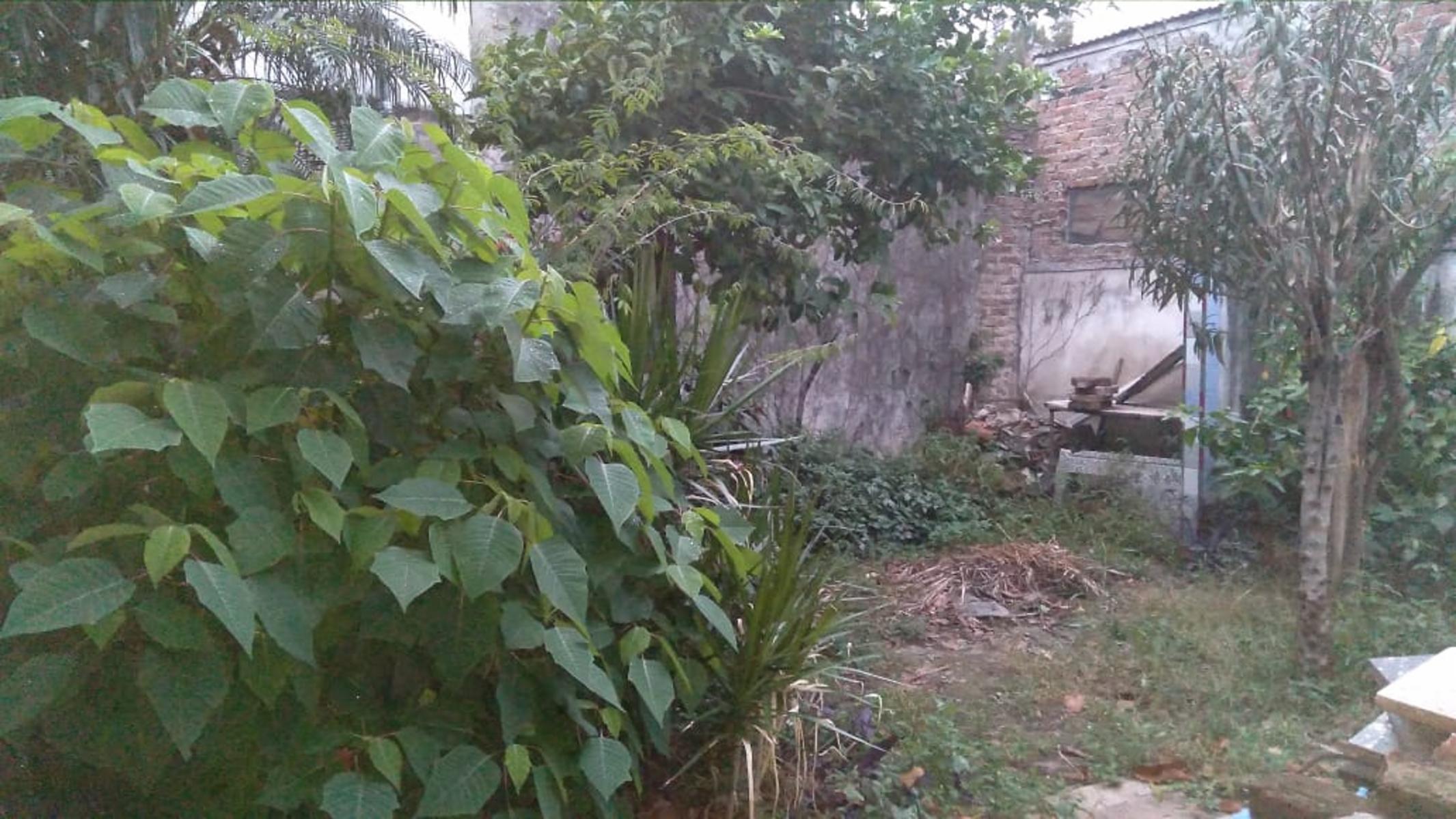 OPORTUNIDAD 2 VIVIENDAS EN PB A RECICLAR + FONDO LIBRE 130M2 — foto 7
