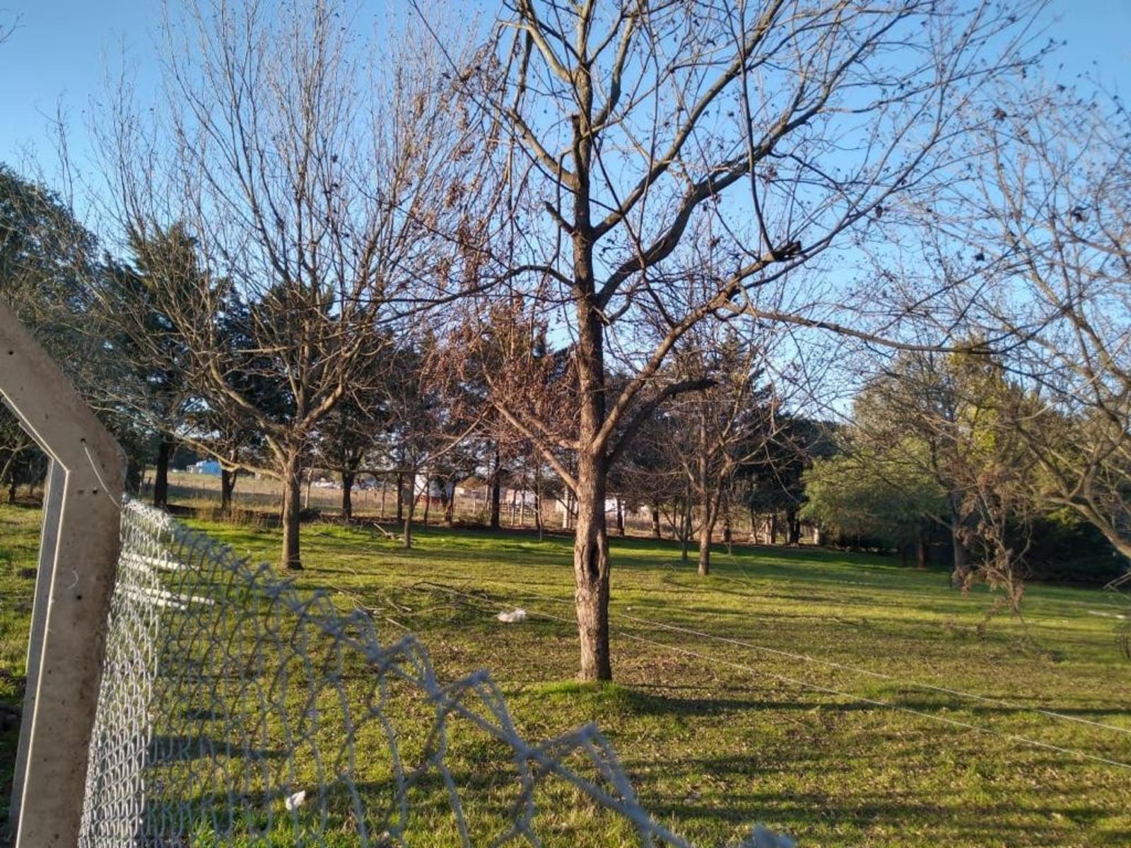 UNICO Y GRAN EMPRENDIMIENTO DE FRACCIONES DE TERRENO 3314 Mts2 en GUALEGUAY, ENTRE RIOS IMPERDIBLE — foto 3