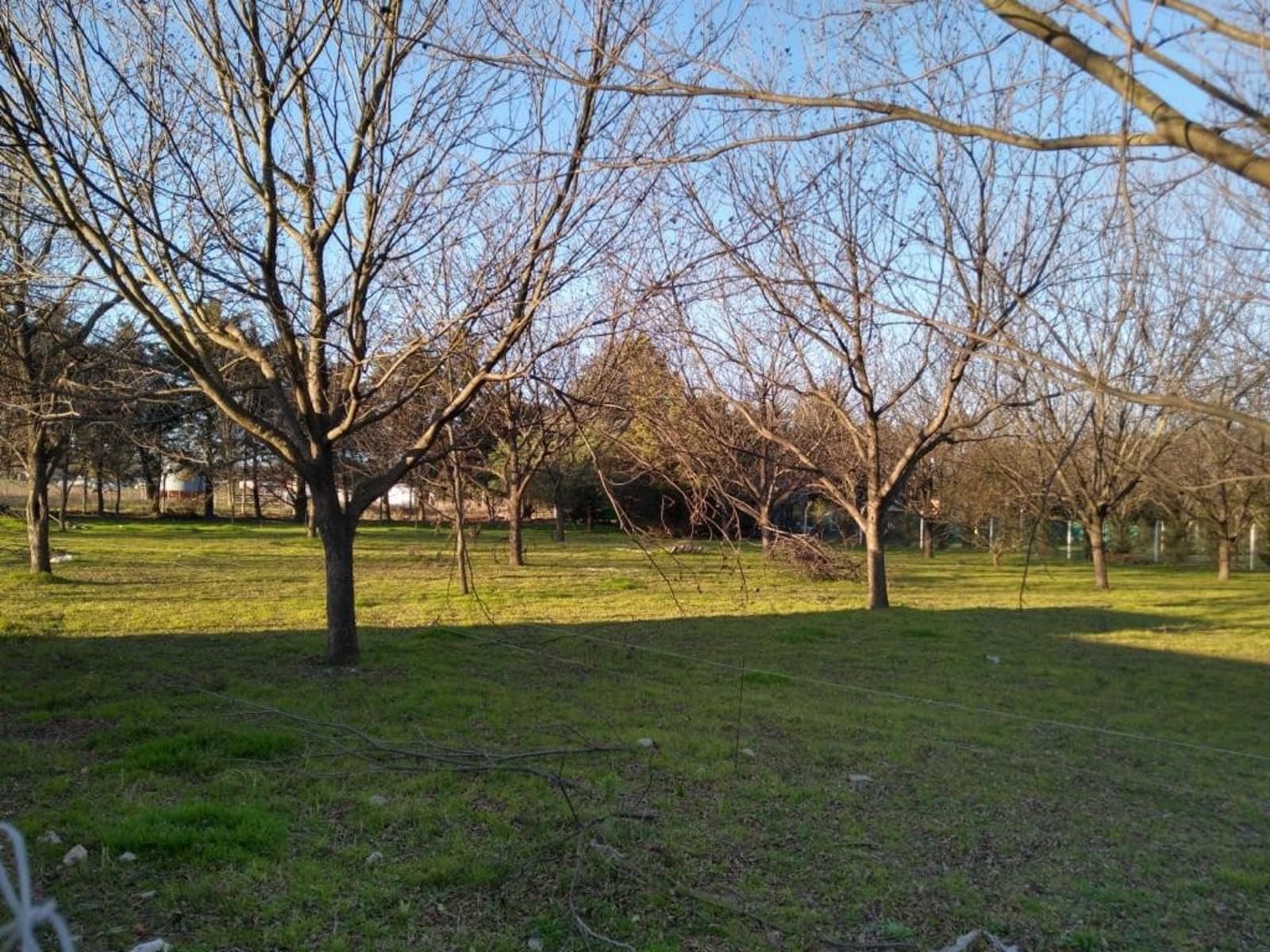 UNICO Y GRAN EMPRENDIMIENTO DE FRACCIONES DE TERRENO 3314 Mts2 en GUALEGUAY, ENTRE RIOS IMPERDIBLE — foto 4
