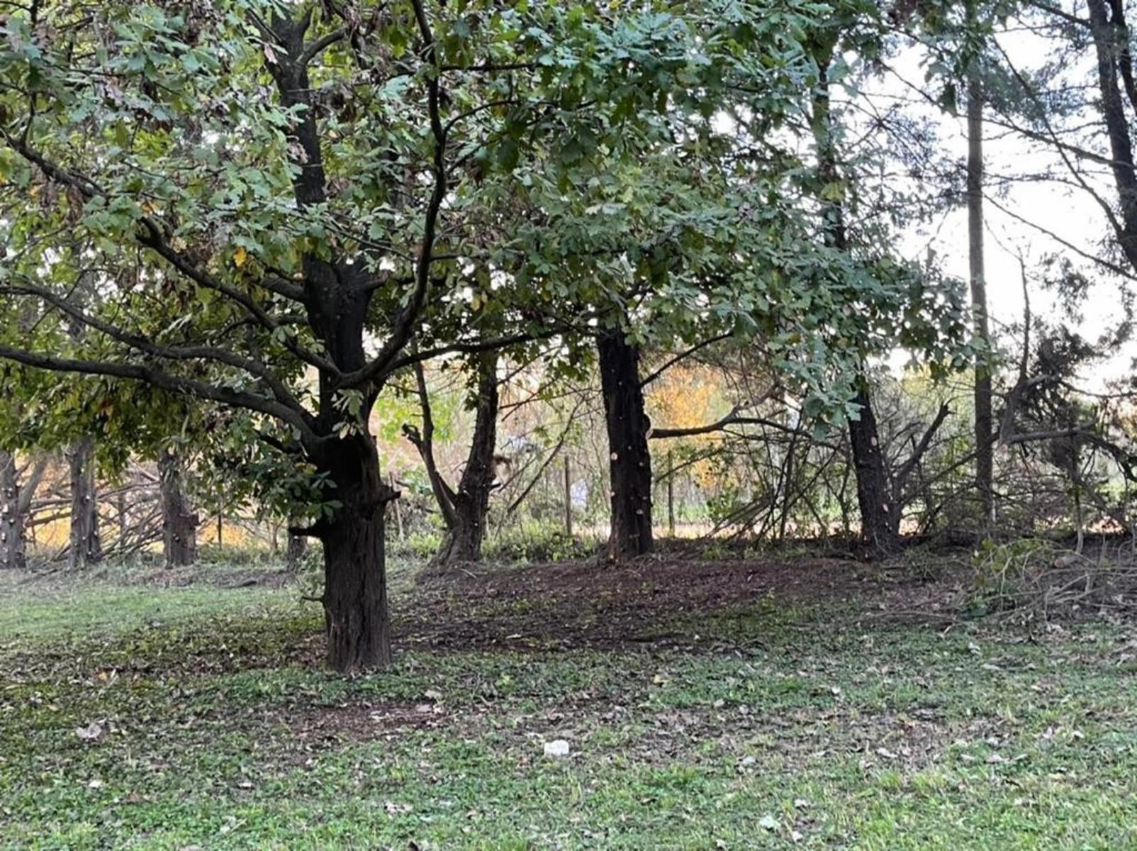 UNICO Y GRAN EMPRENDIMIENTO DE FRACCIONES DE TERRENO 3314 Mts2 en GUALEGUAY, ENTRE RIOS IMPERDIBLE — foto 6