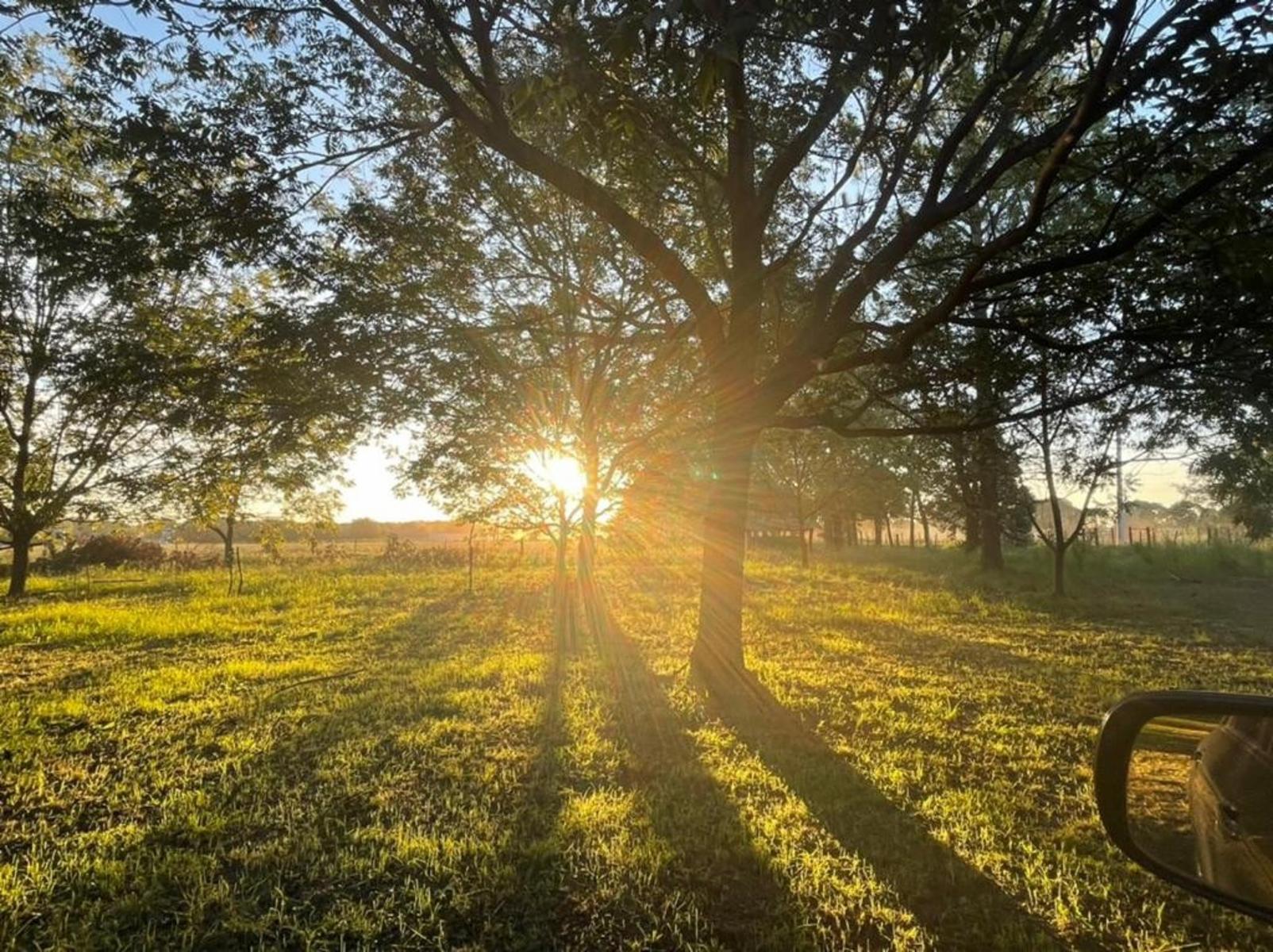 UNICO Y GRAN EMPRENDIMIENTO DE FRACCIONES DE TERRENO 3314 Mts2 en GUALEGUAY, ENTRE RIOS IMPERDIBLE — foto 7