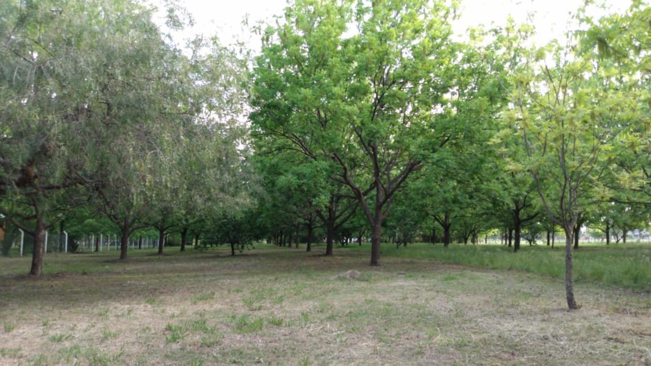 UNICO Y GRAN EMPRENDIMIENTO DE FRACCIONES DE TERRENO 3314 Mts2 en GUALEGUAY, ENTRE RIOS IMPERDIBLE — foto 11