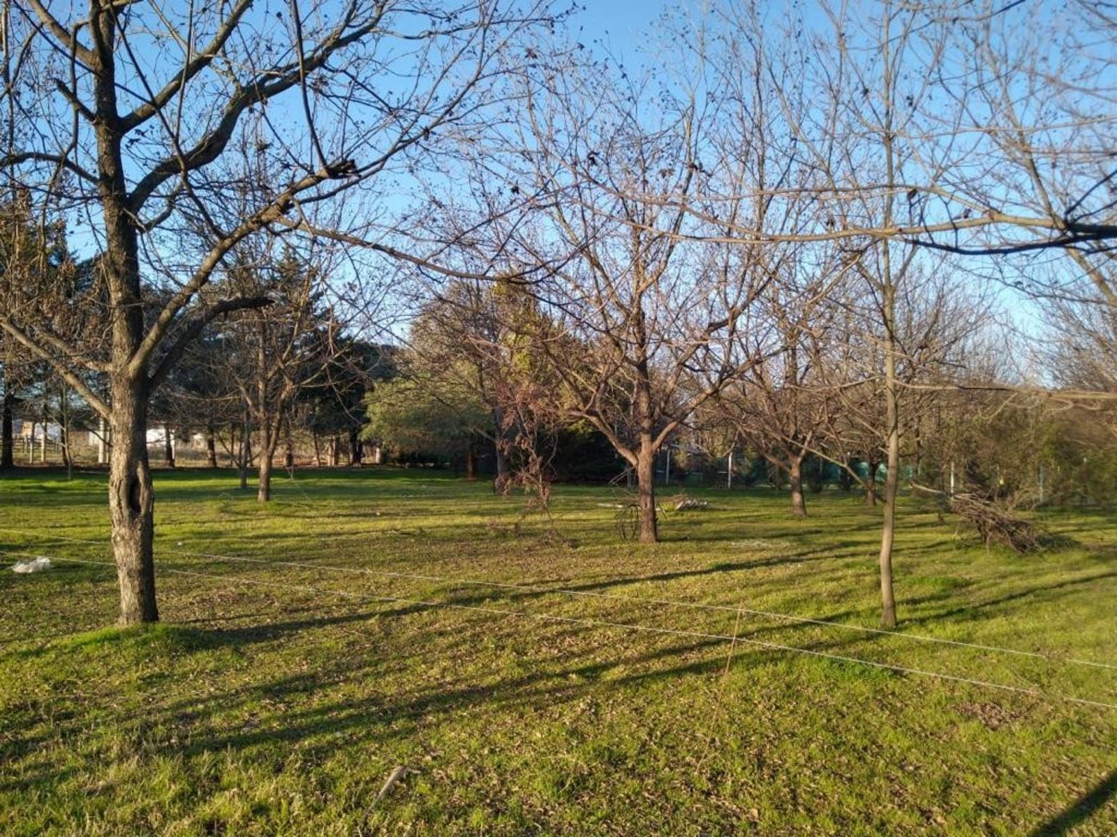 UNICO Y GRAN EMPRENDIMIENTO DE FRACCIONES DE TERRENO 3314 Mts2 en GUALEGUAY, ENTRE RIOS IMPERDIBLE — foto 14