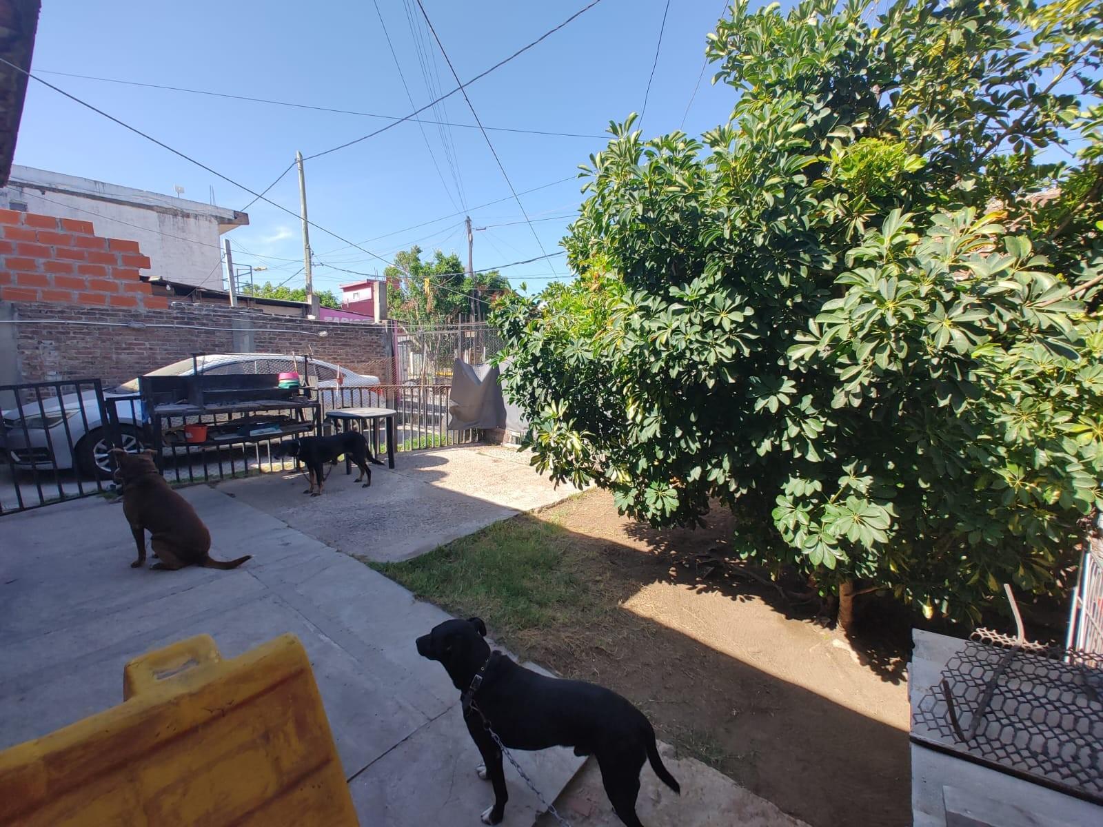 IMPECABLE CASA INDEPENDIENTE 2 AMPLIOS AMB con COCHERA y JARDIN, a Mts Avda Libertador en el Bo Libertador — foto 3