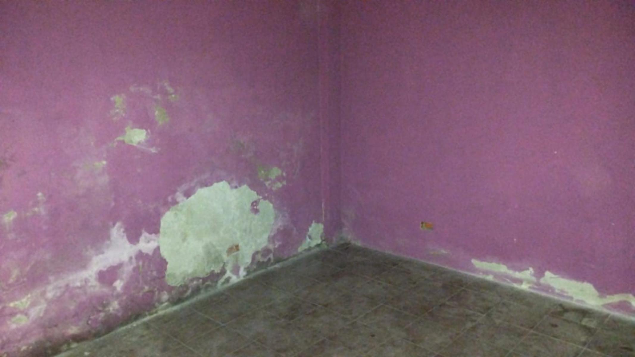 Relevante 3 Amb a restaurar en Barrio Libertador — foto 5