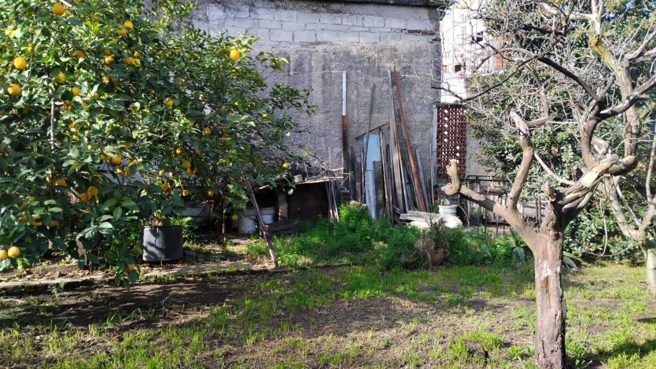 INTERESANTE PROPIEDAD 4 AMB c/ FDO PARQUIZADO — foto 5