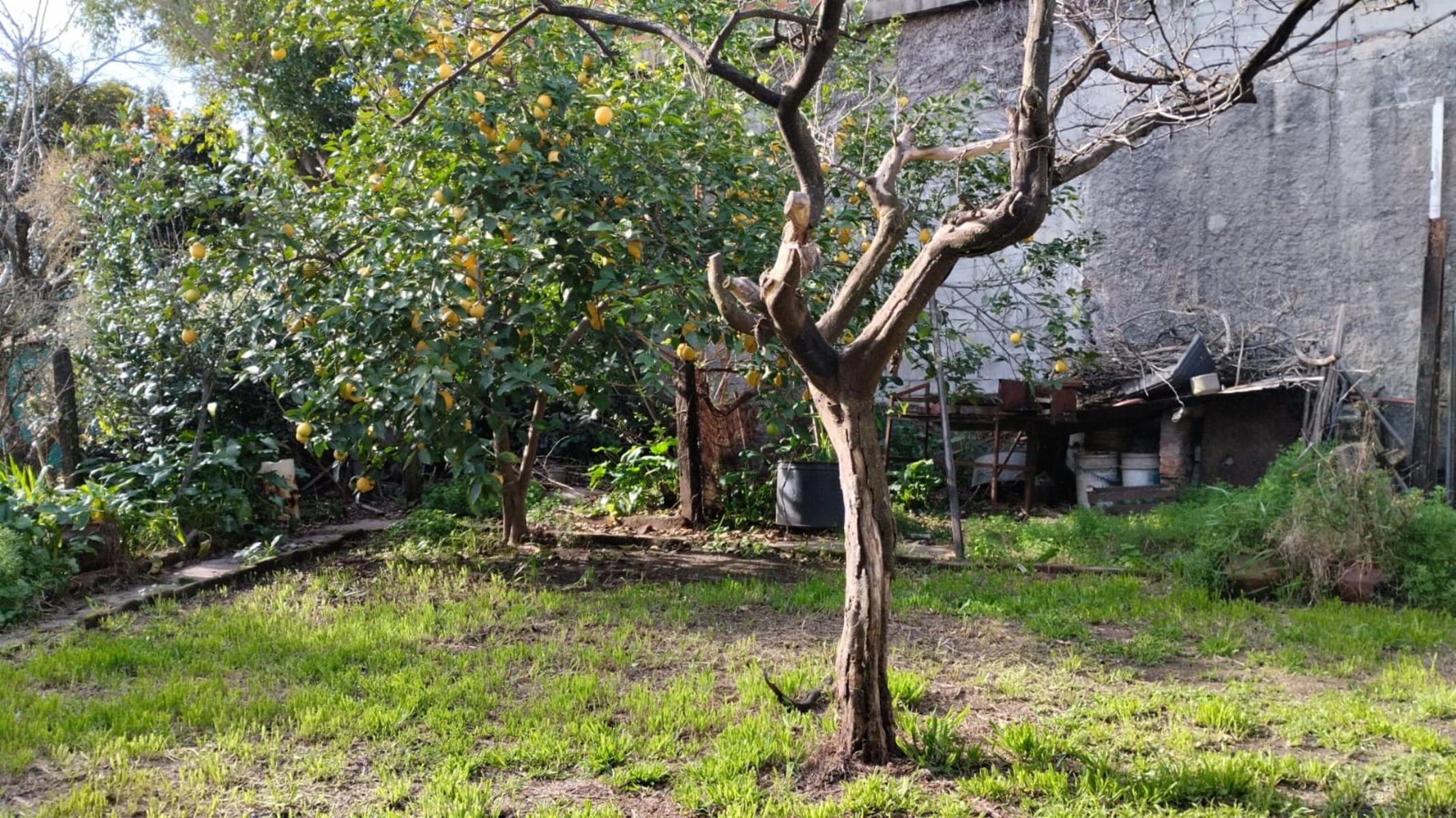 INTERESANTE PROPIEDAD 4 AMB c/ FDO PARQUIZADO — foto 7