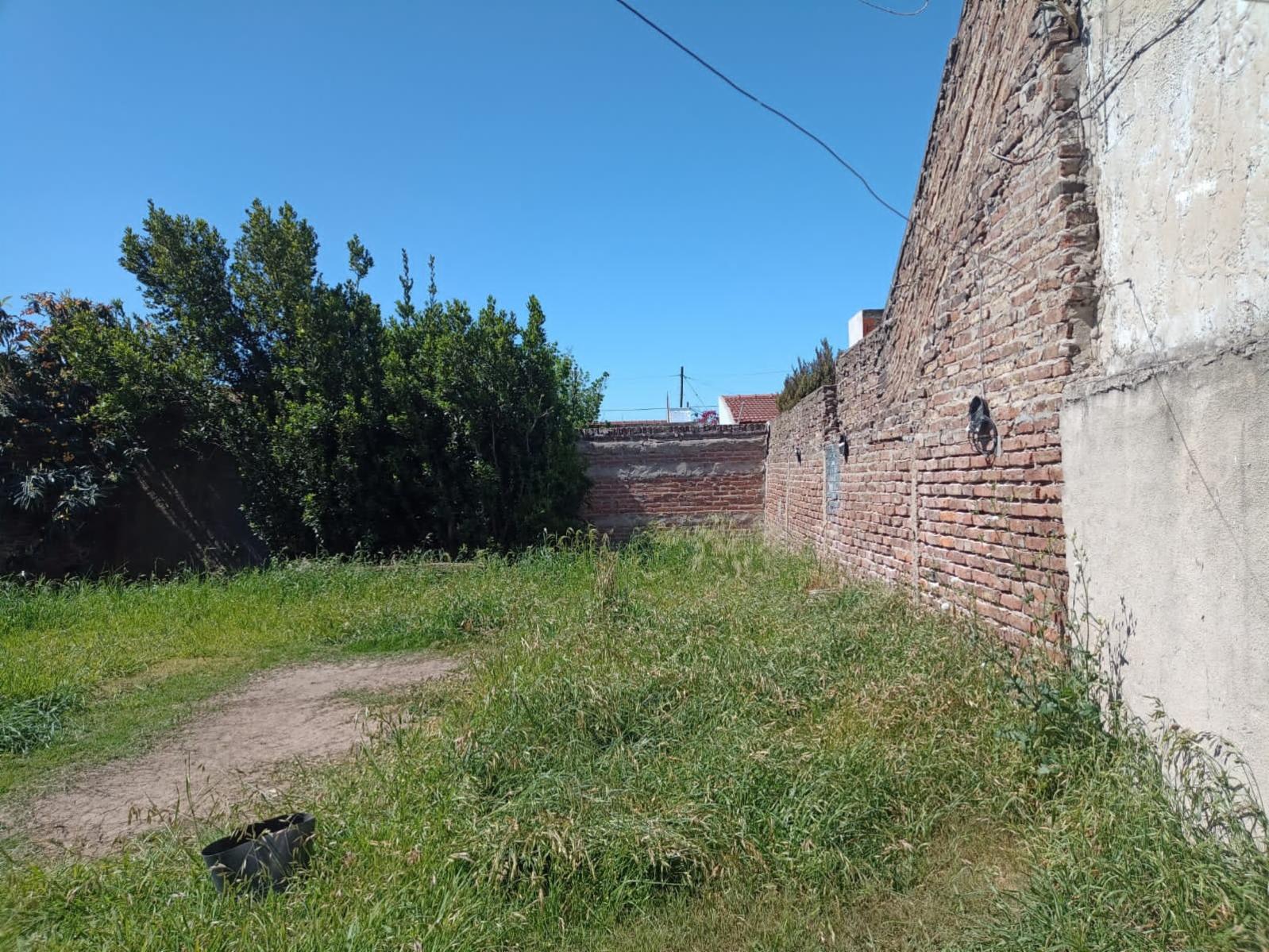 VENTA - OPORTUNIDAD - CASA 3 AMB. LOTE 8.66 X 30 - FONDO LIBRE - CONSULTE — foto 10