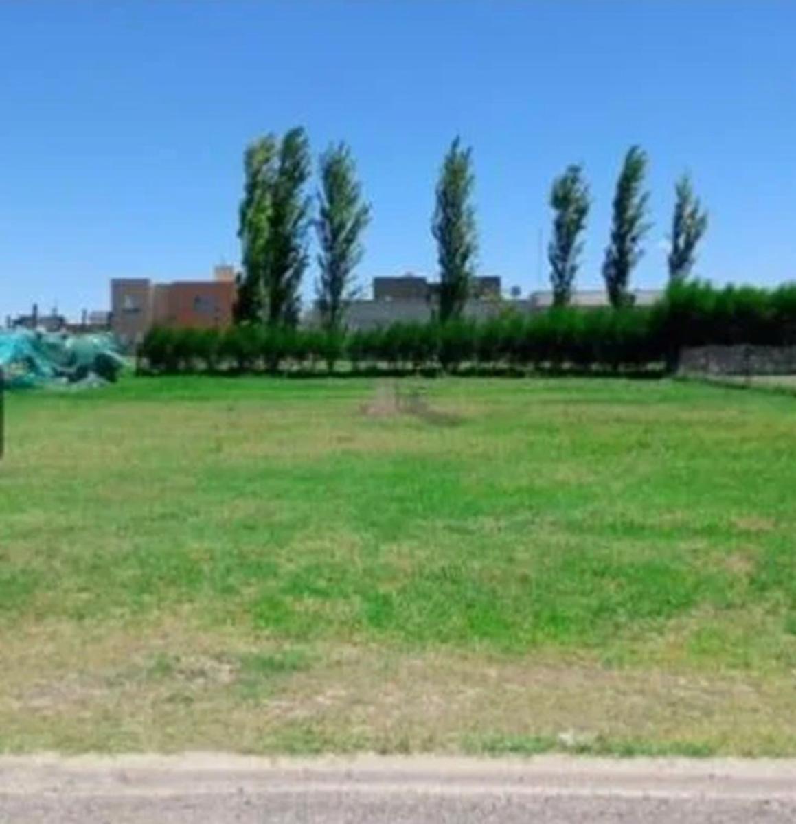 VENTA - EXCELENTE LOTE DE 20 X 40 - CLUB HOUSE SAN LUCAS — foto 4