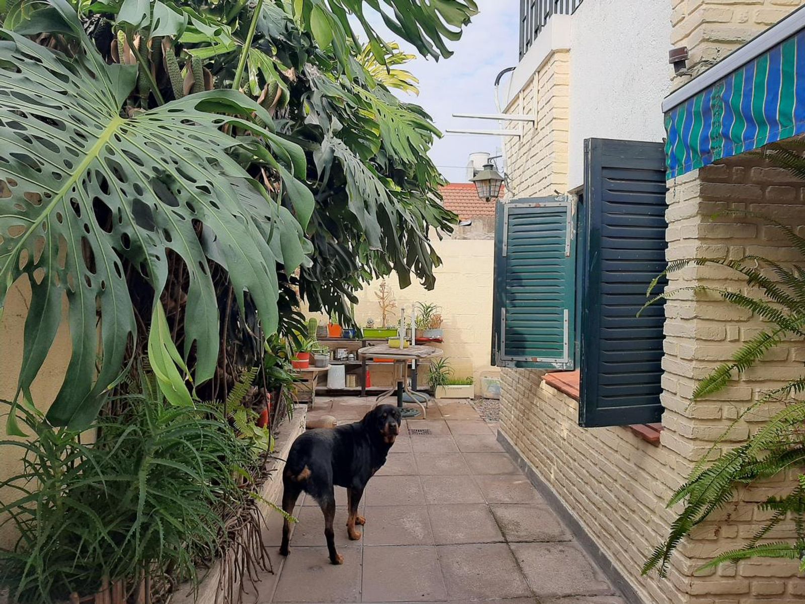 VENTA - GRAN PH TIPO CASA 3 AMBIENTES - LANÚS ESTE - 8