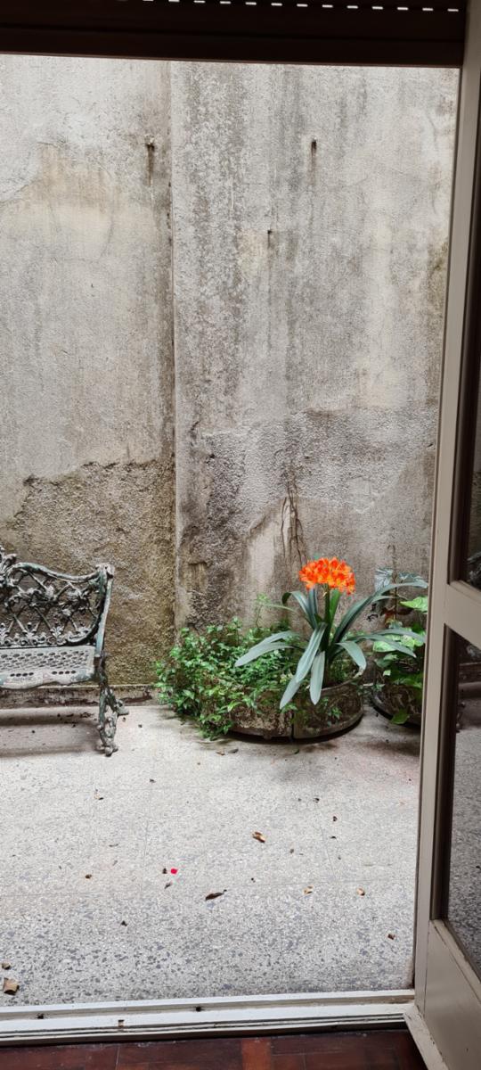 VENTA DEPTO. 1 AMB. C/ entrepiso y patio BELGRANO -BARRANCAS OPORTUNIDAD — foto 12