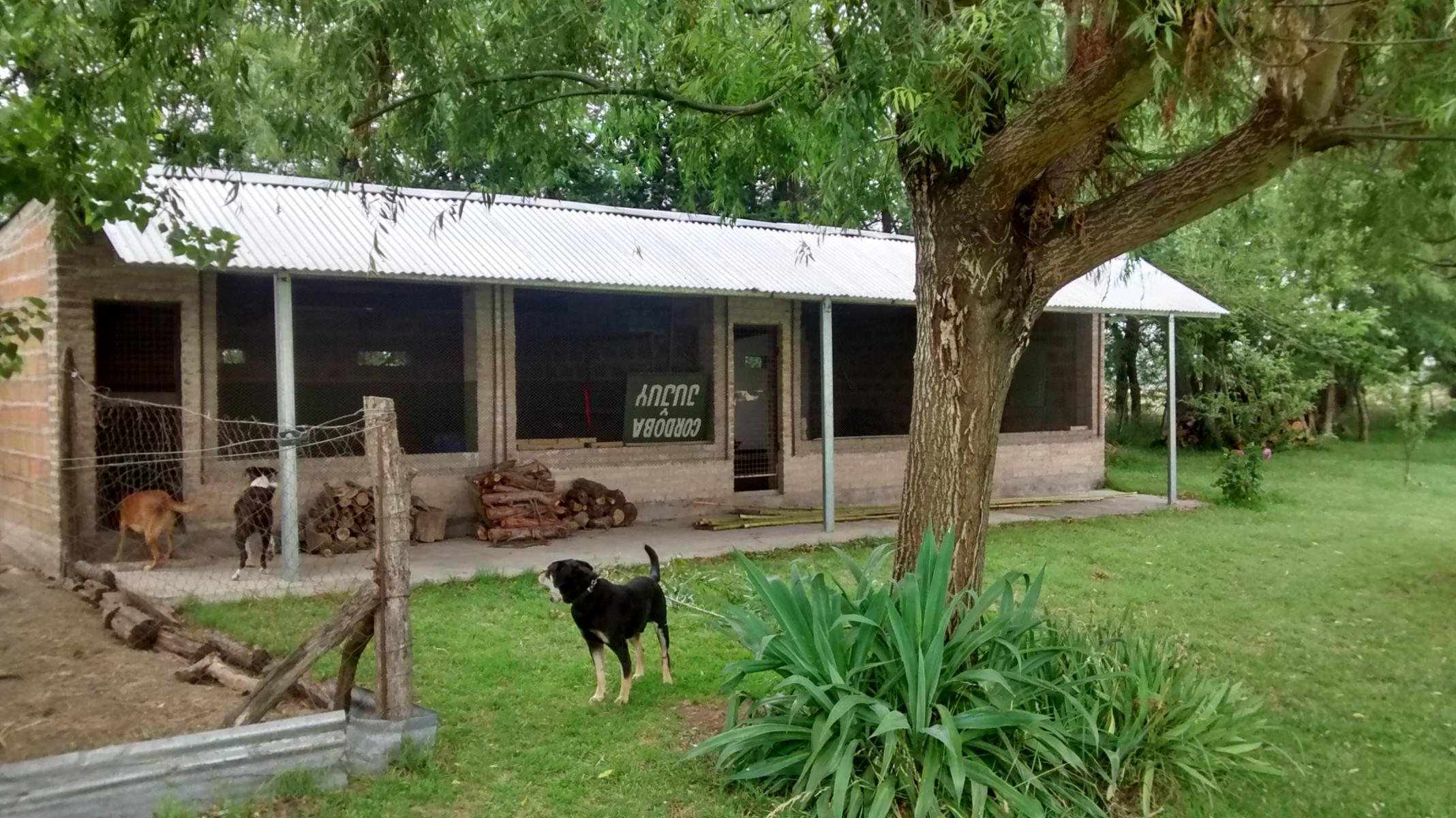 Complejo turístico de 3 cabañas, casa de caseros, 2 galpones, pileta de natación. Terreno de 1 ha. - 3