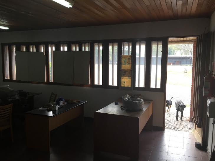 TERRENO APTO USO INDUSTRIAL — foto 7