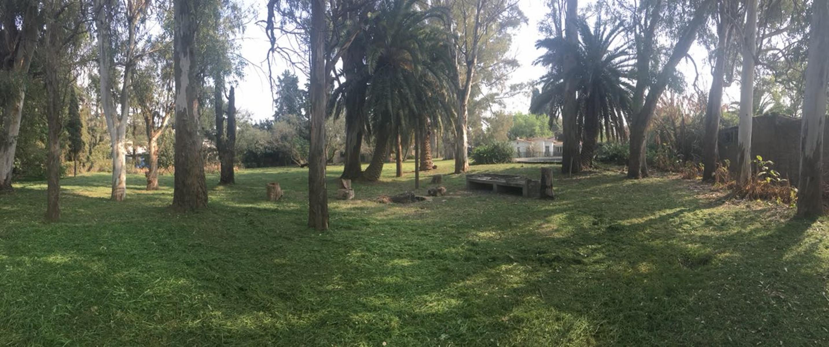 CASA DE TRES DORMITORIOS CON AMPLIO JARDIN — foto 3