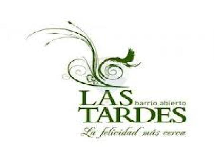 LAS TARDES - ROLDAN