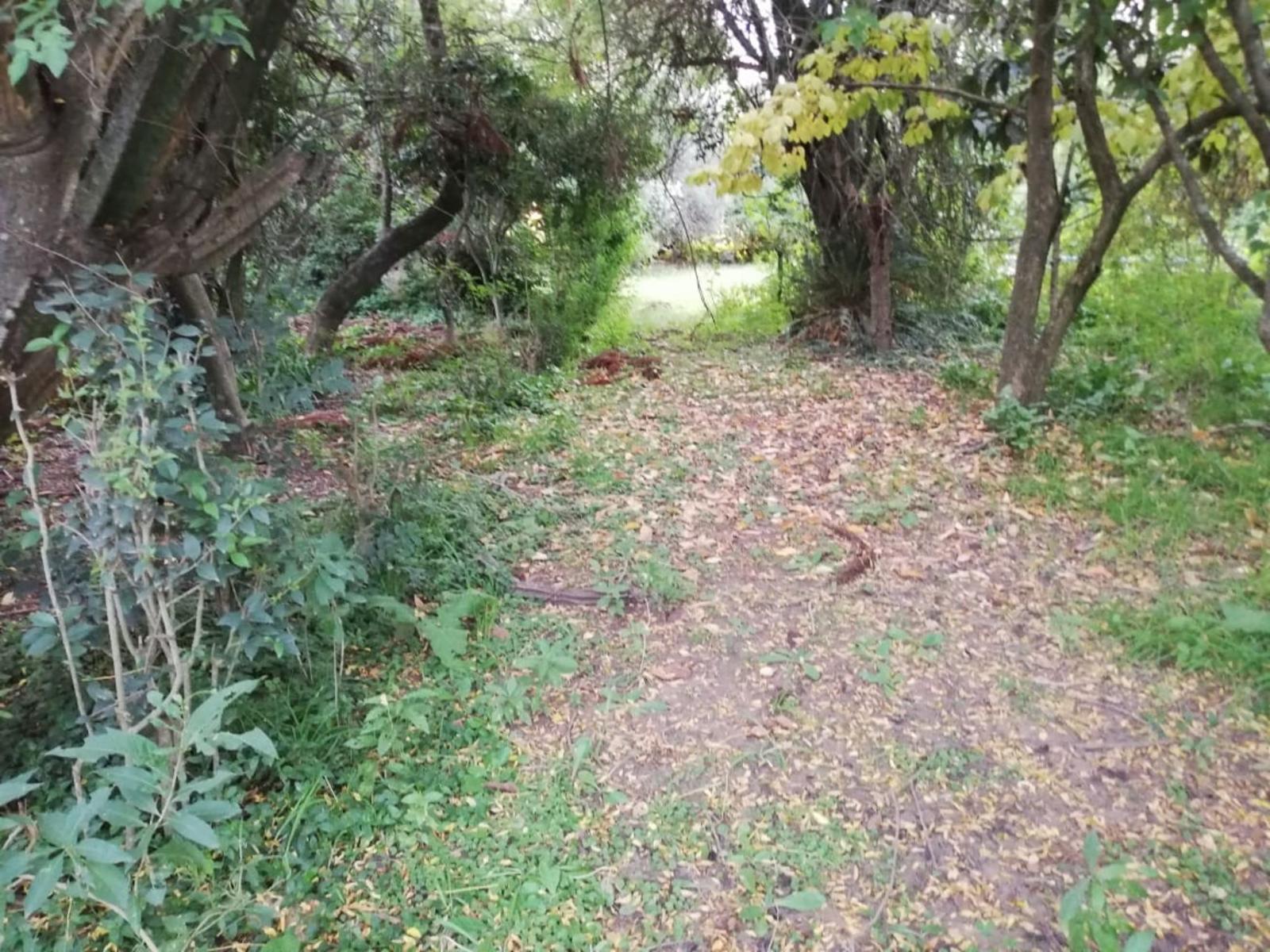 Terreno 2500 MTS San Antonio de Areco/ Villa Lia - 4