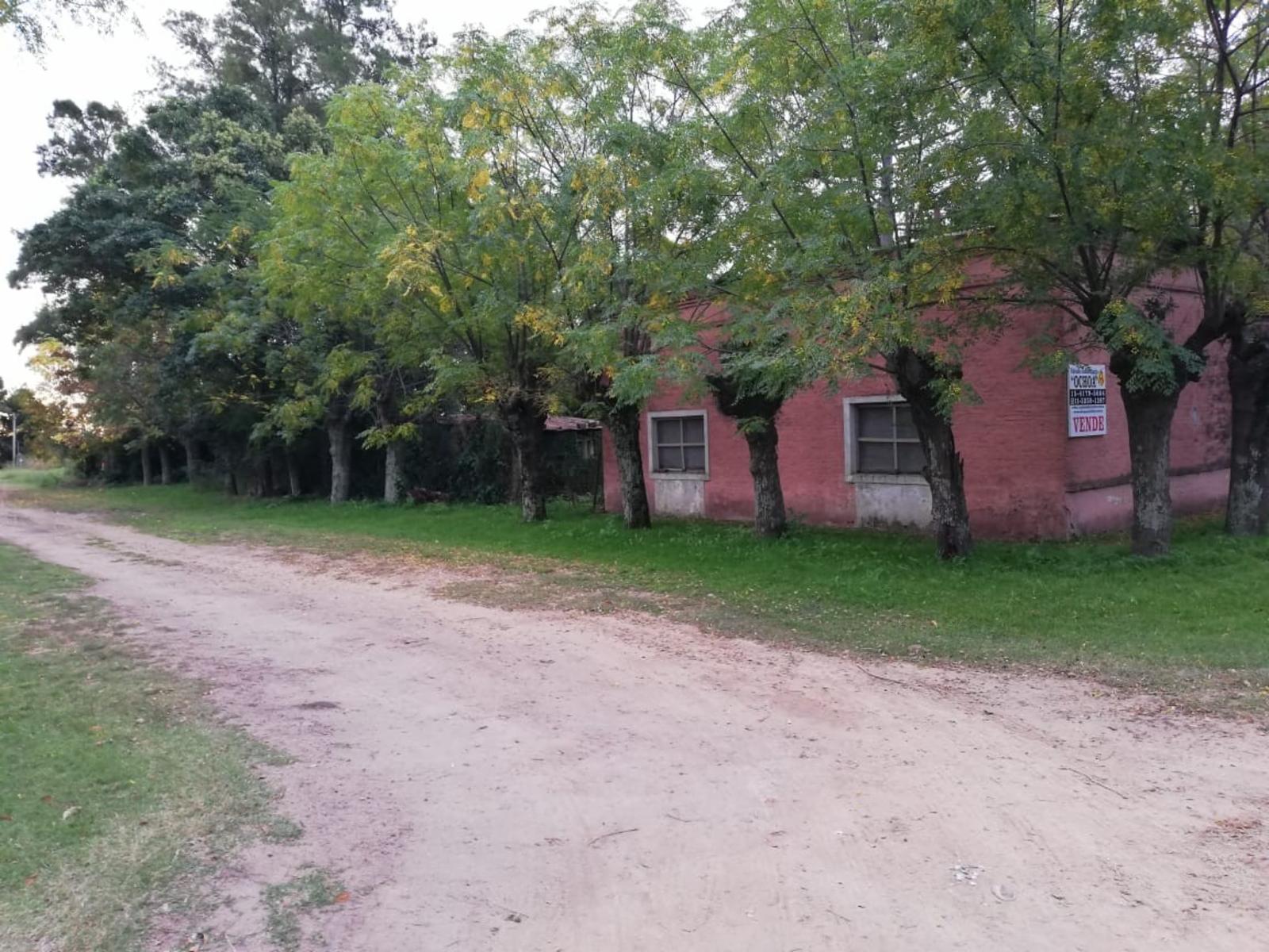 Terreno 2500 MTS San Antonio de Areco/ Villa Lia - 5