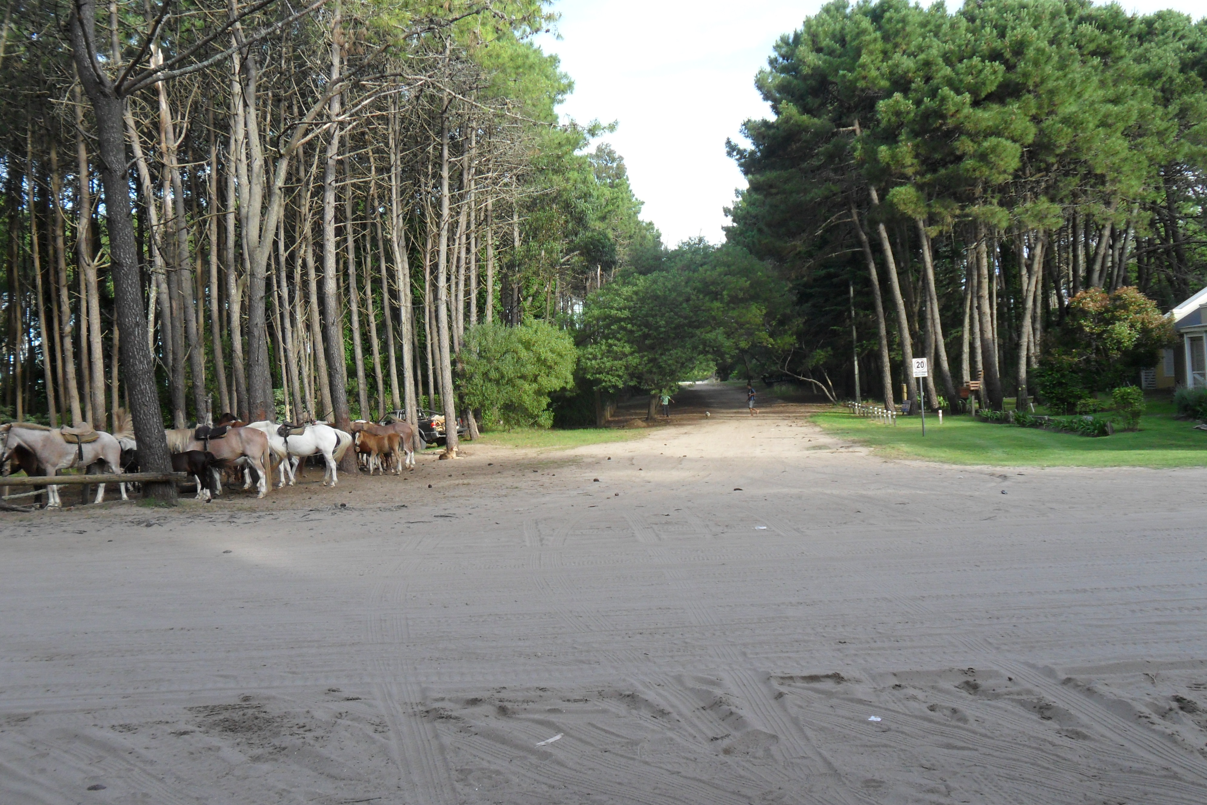 LOTE MAR AZUL, VILLA GESEL — foto 5