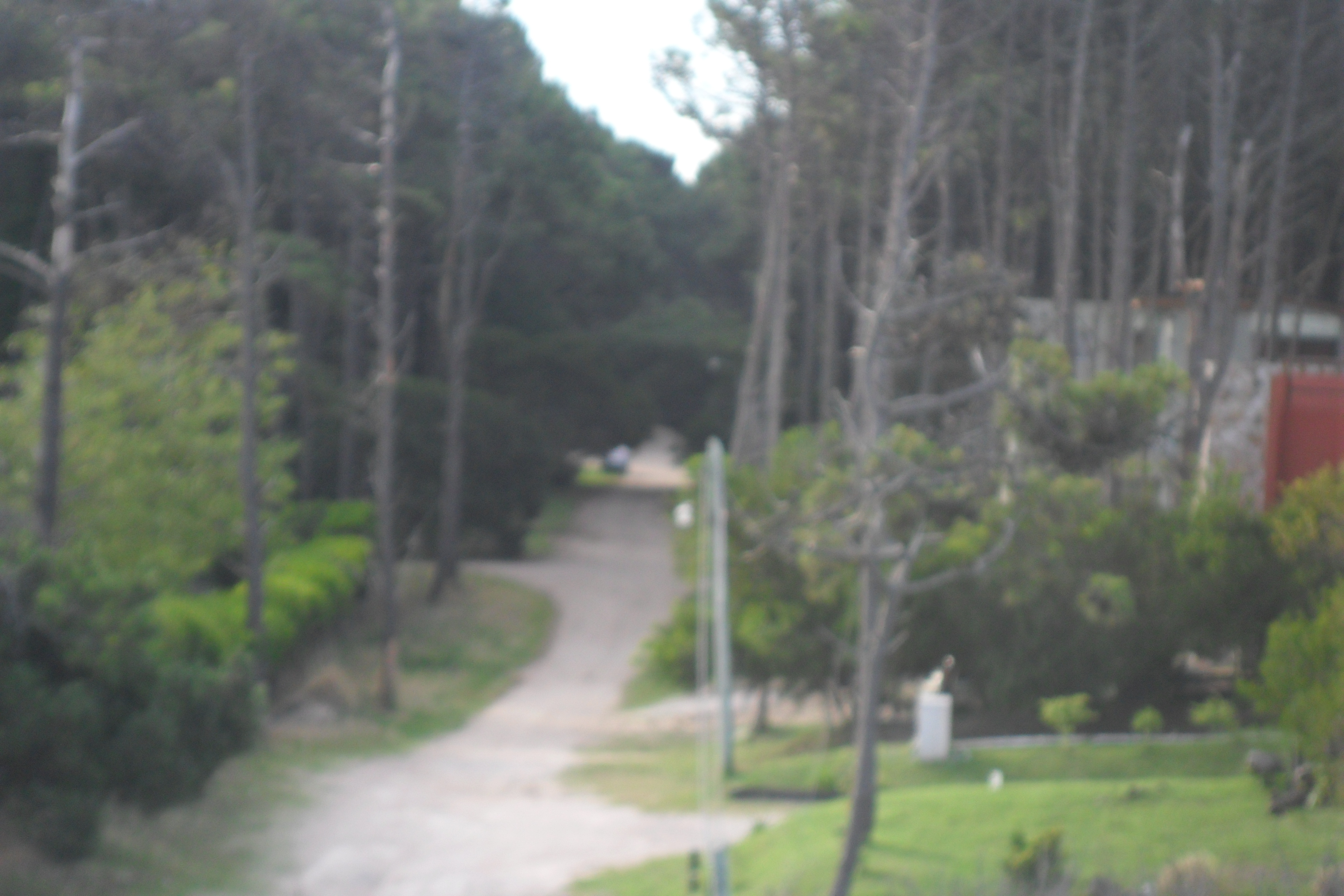 LOTE MAR AZUL, VILLA GESEL — foto 8