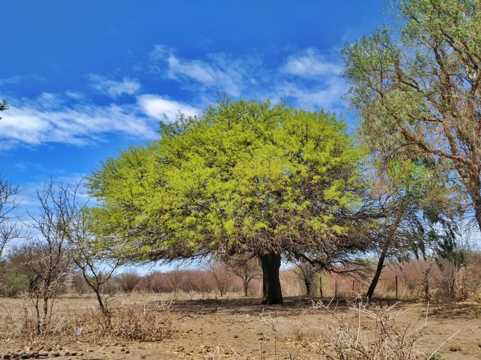 Hermosos terrenos en la Ciudad de Deán Funes, Provincia de Córdoba, Argentina. - 2
