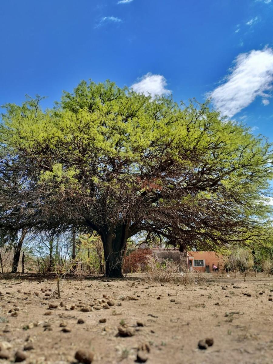 Hermosos terrenos en la Ciudad de Deán Funes, Provincia de Córdoba, Argentina. - 3