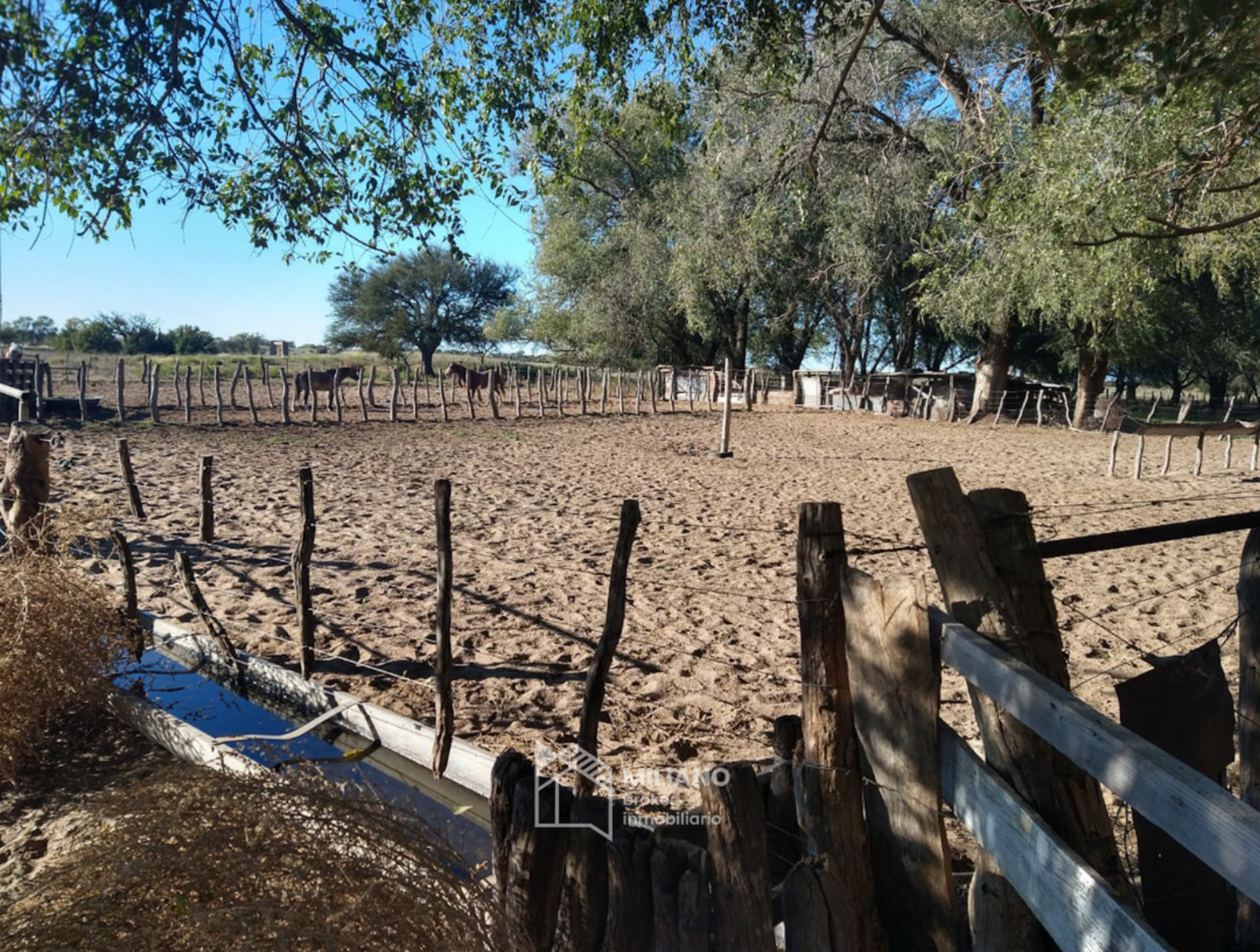 Chacra - 65 ha RP 10 e Ingreso - Victorica - La Pampa - 4