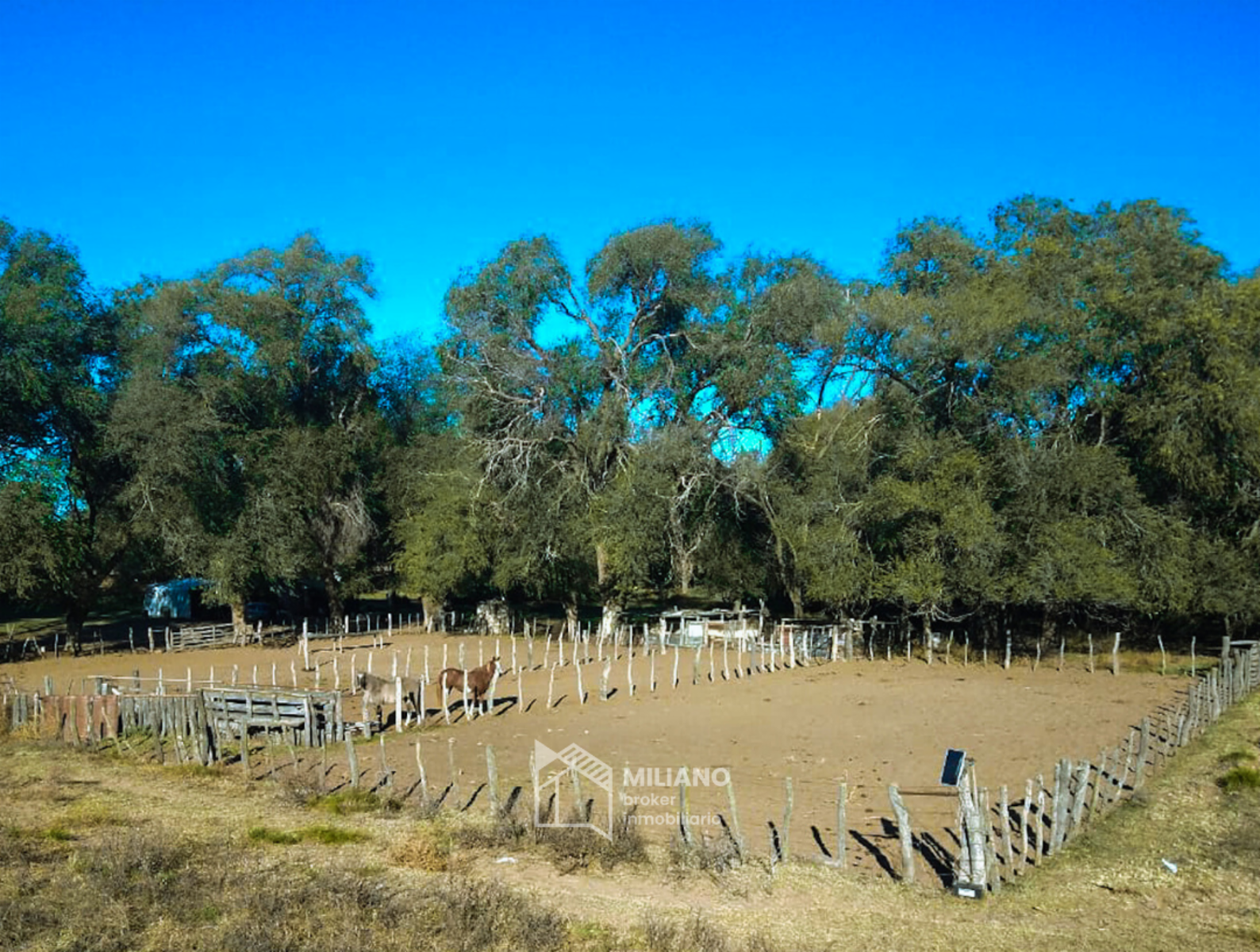 Chacra - 65 ha RP 10 e Ingreso - Victorica - La Pampa - 5