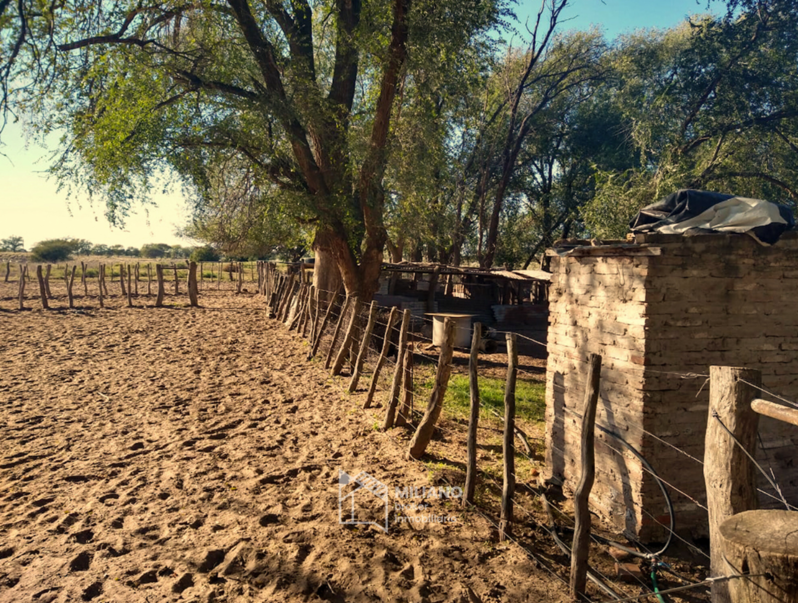 Chacra - 65 ha RP 10 e Ingreso - Victorica - La Pampa - 6