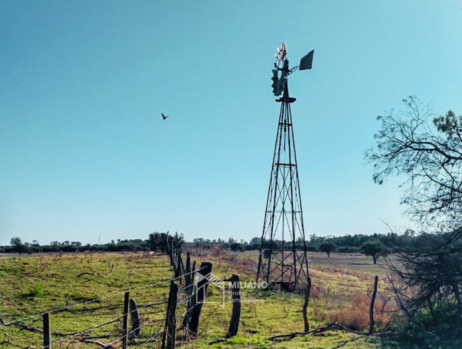 Chacra - 65 ha RP 10 e Ingreso - Victorica - La Pampa - 7
