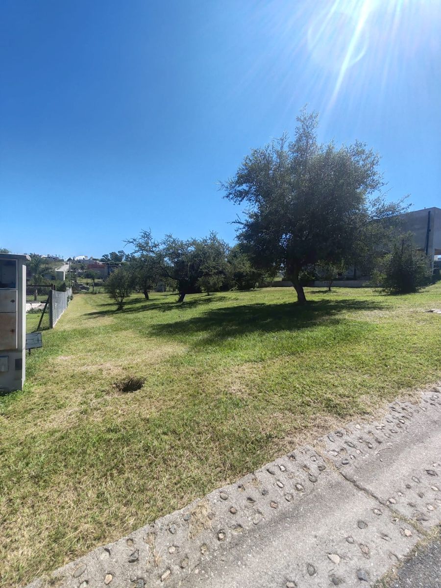 LOTE EN BARRIO LA ARBOLADA — foto 3