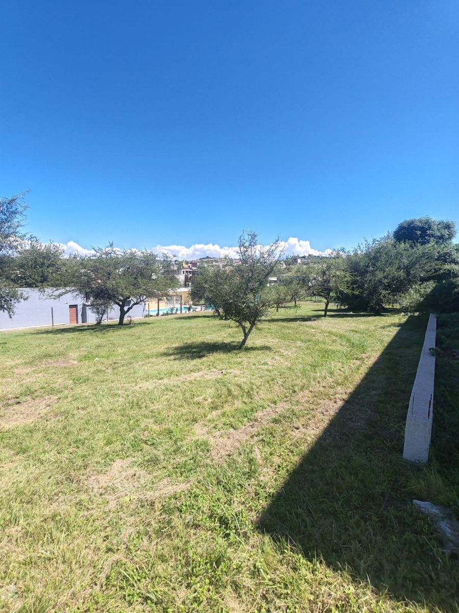 LOTE EN BARRIO LA ARBOLADA — foto 5